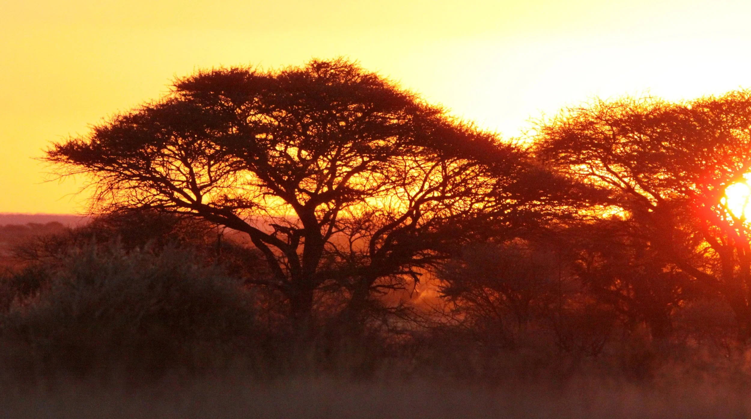 MARRICK CAMP KIMBERLY SOUTH AFRICA - SUNSET OVER THE KIMBERLY (2).JPG