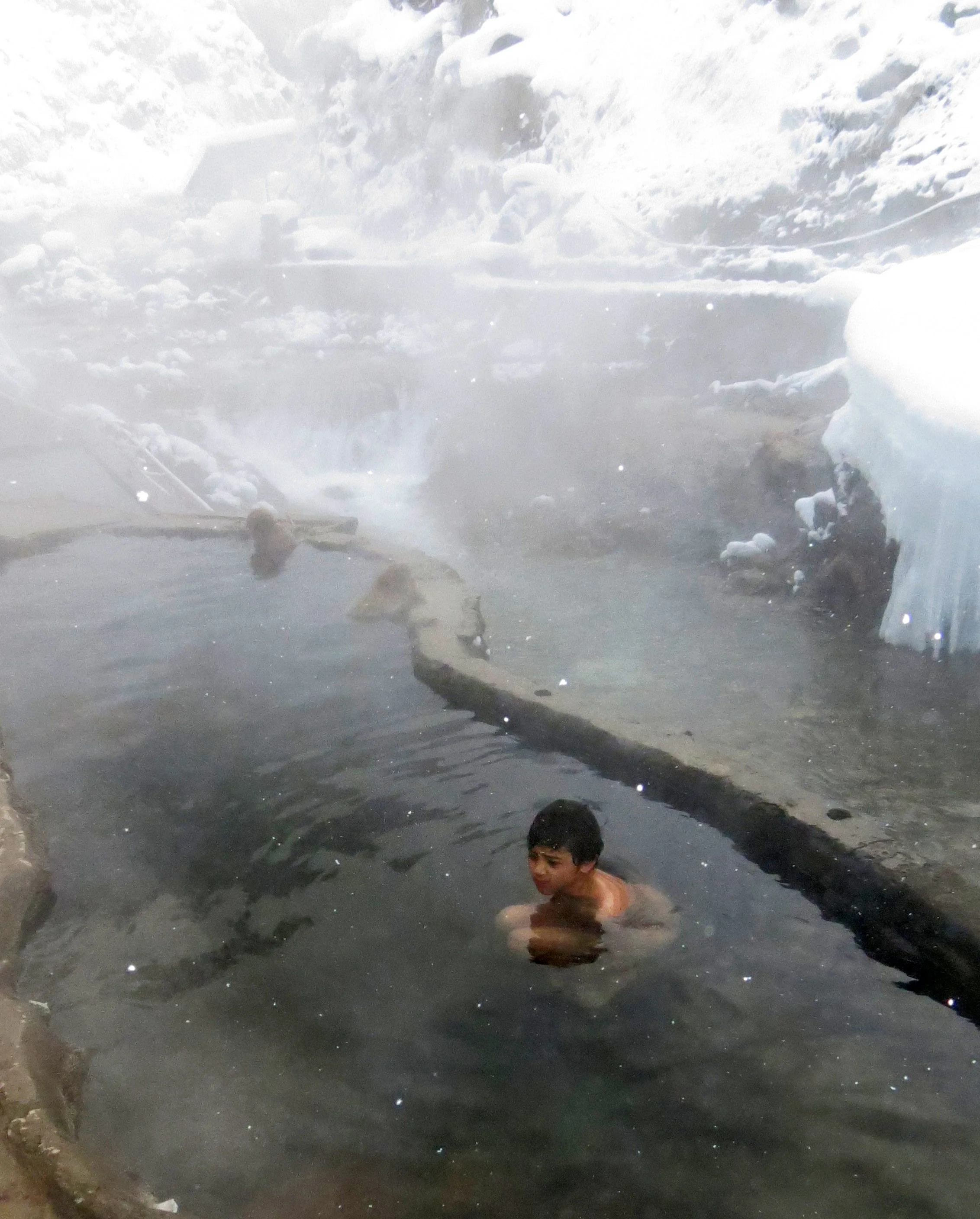 JIGOKUDANI ONSEN - KORAKUKAN RYOKAN - NAGANO PREFECTURE JAPAN (37).JPG