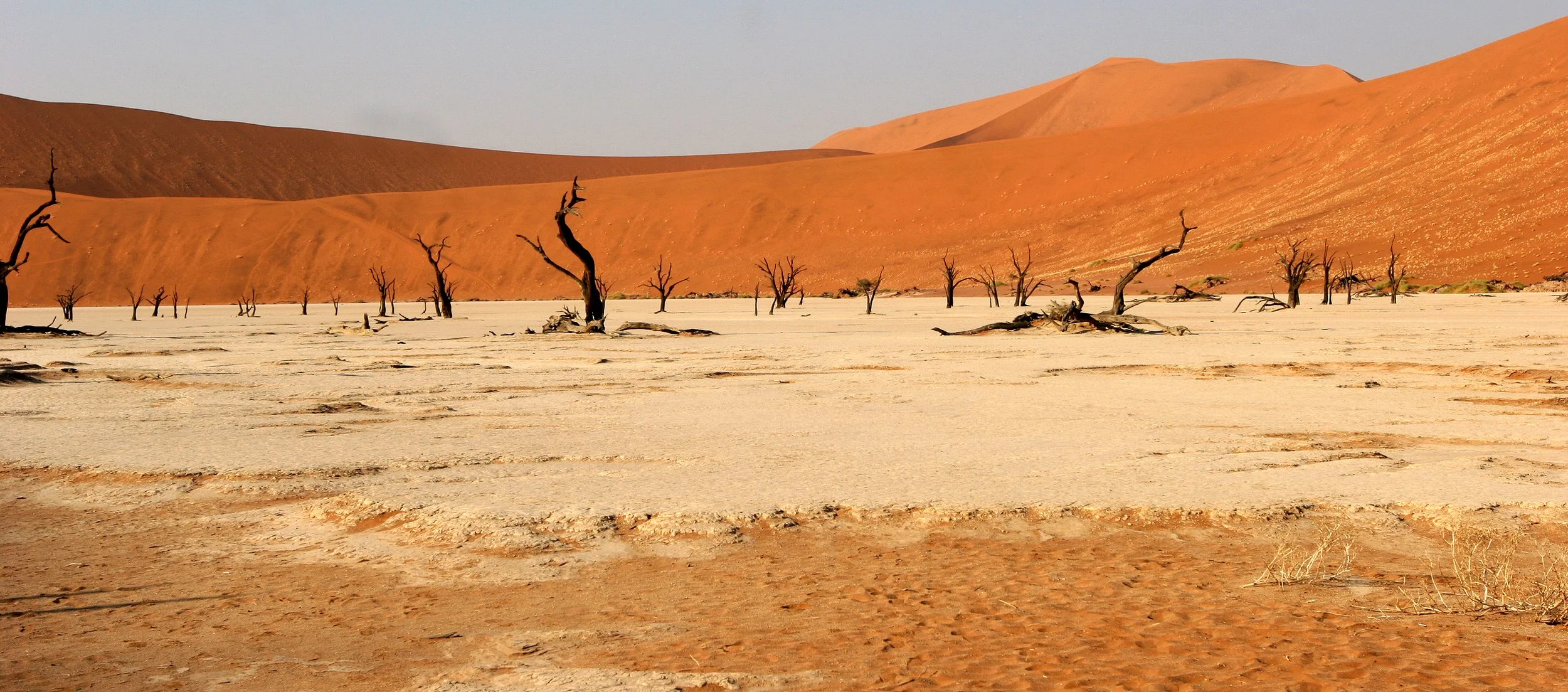 NAMIBIA - SOSSUSVLEI - DEAD VLEI - NAMIBIA (4).JPG