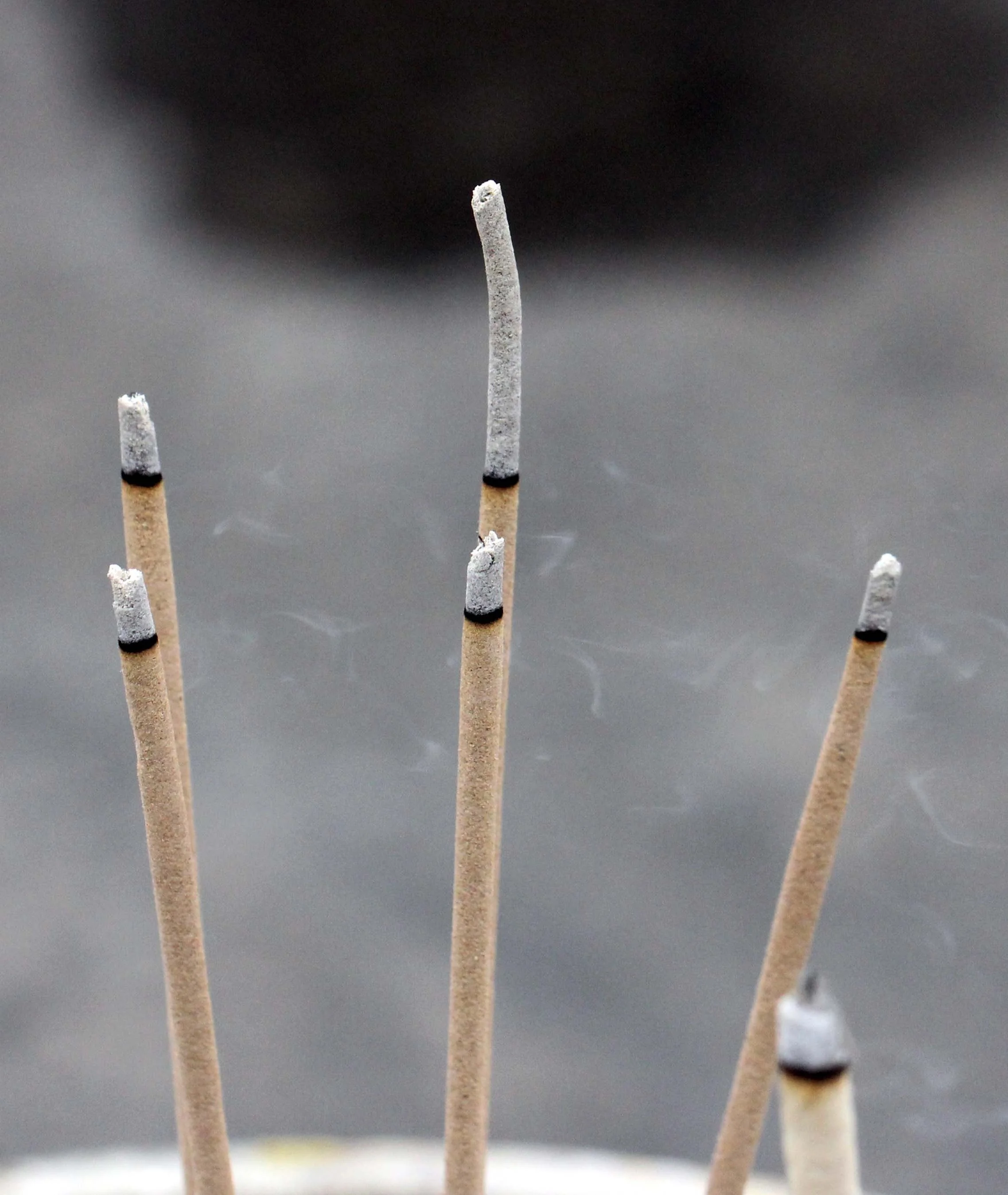 2013 Ayutthaya ISB Passion Day (99).JPG