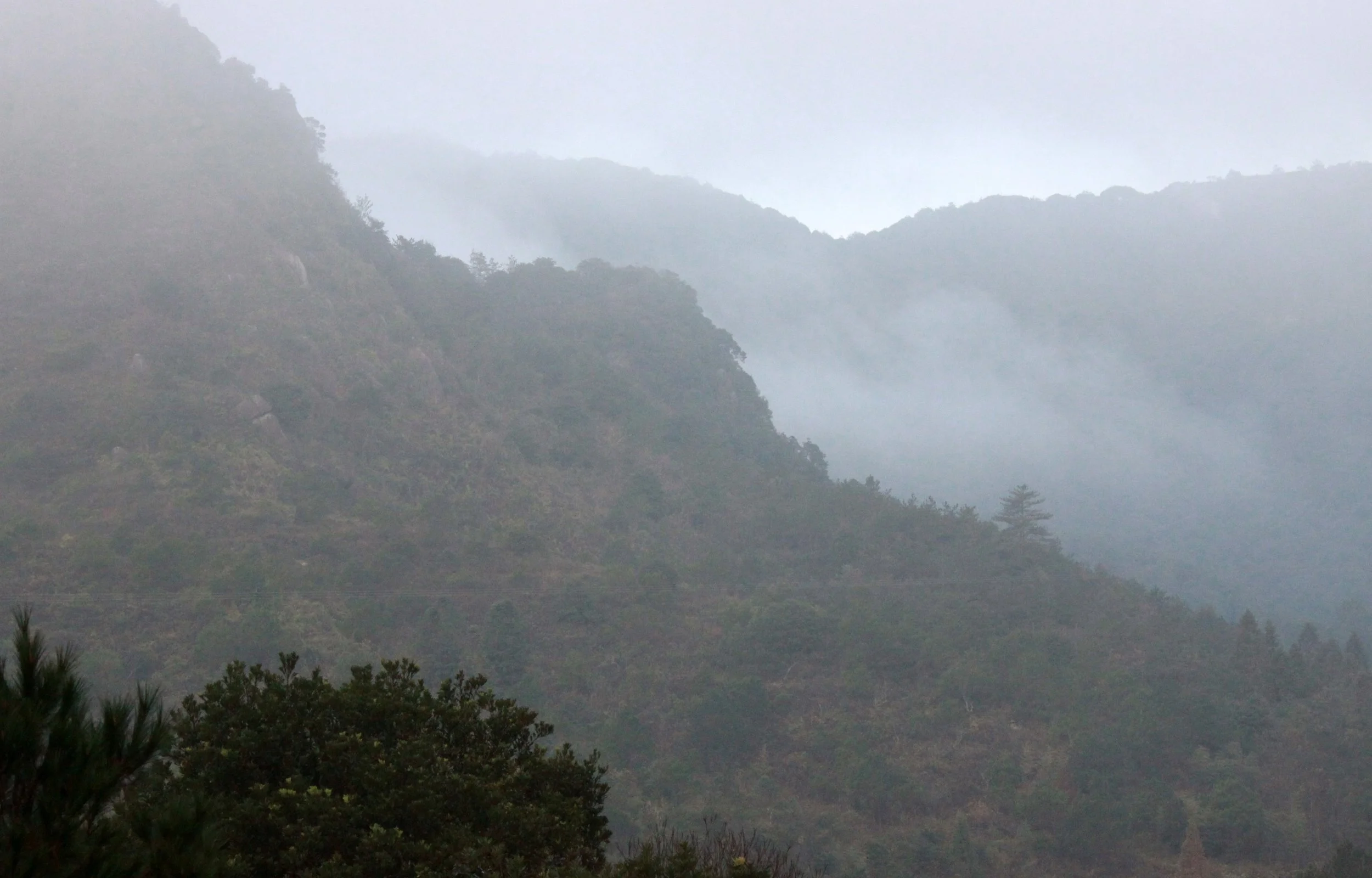 MEIHUASHAN - FUJIAN CHINA (65).JPG