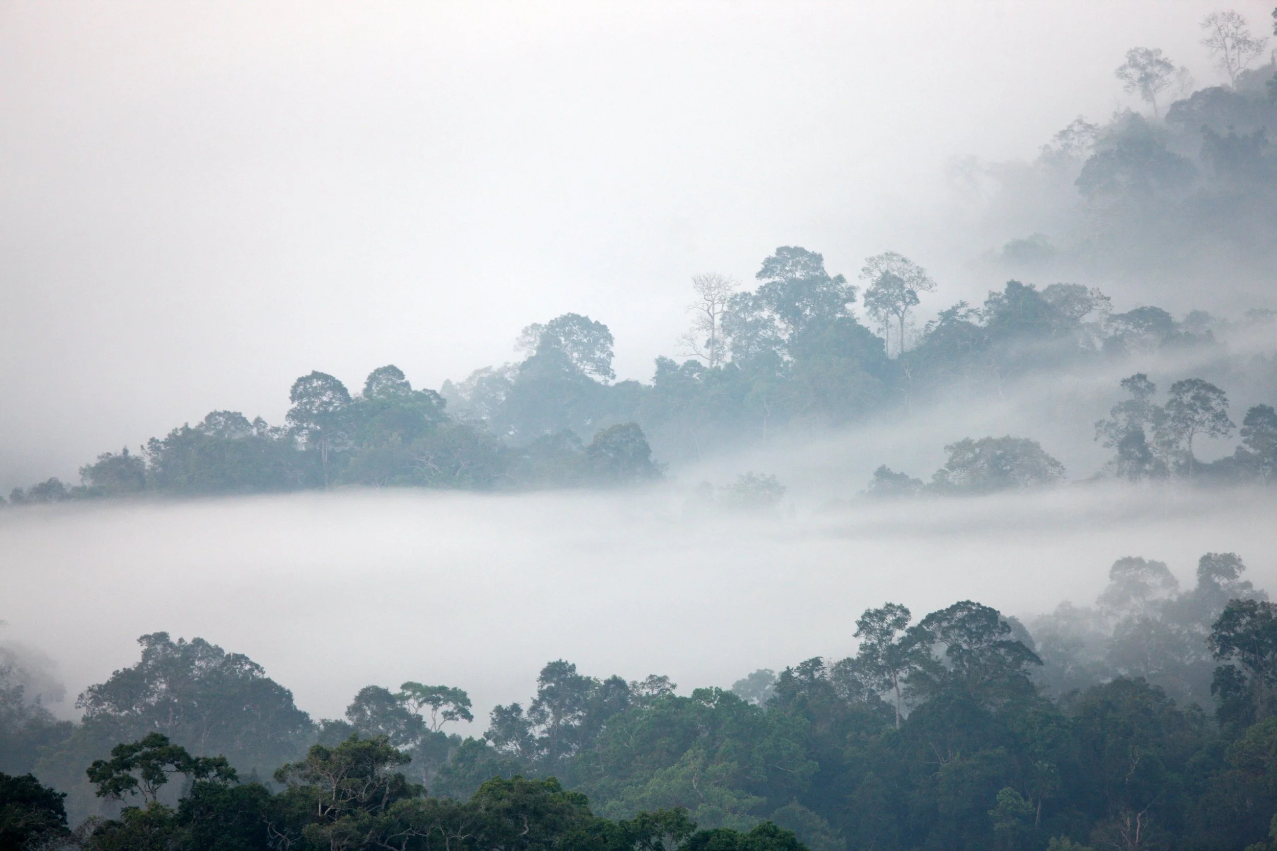 KAENG KRACHAN NATIONAL PARK THAILAND - THALE MOG (20).JPG