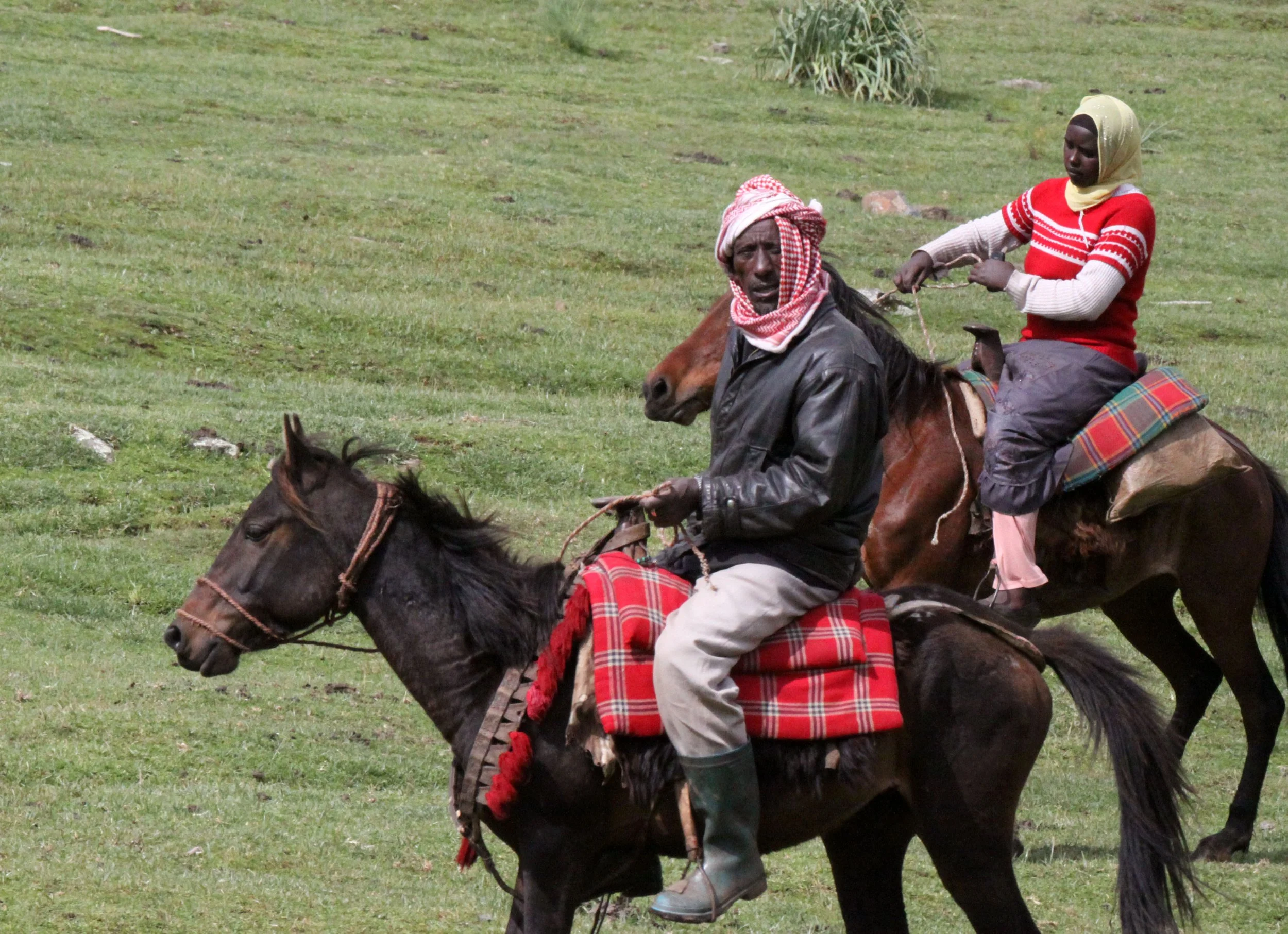 BALE MOUNTAINS NATIONAL PARK ETHIOPIA - GAYSAY GRASSLANDS (12).JPG