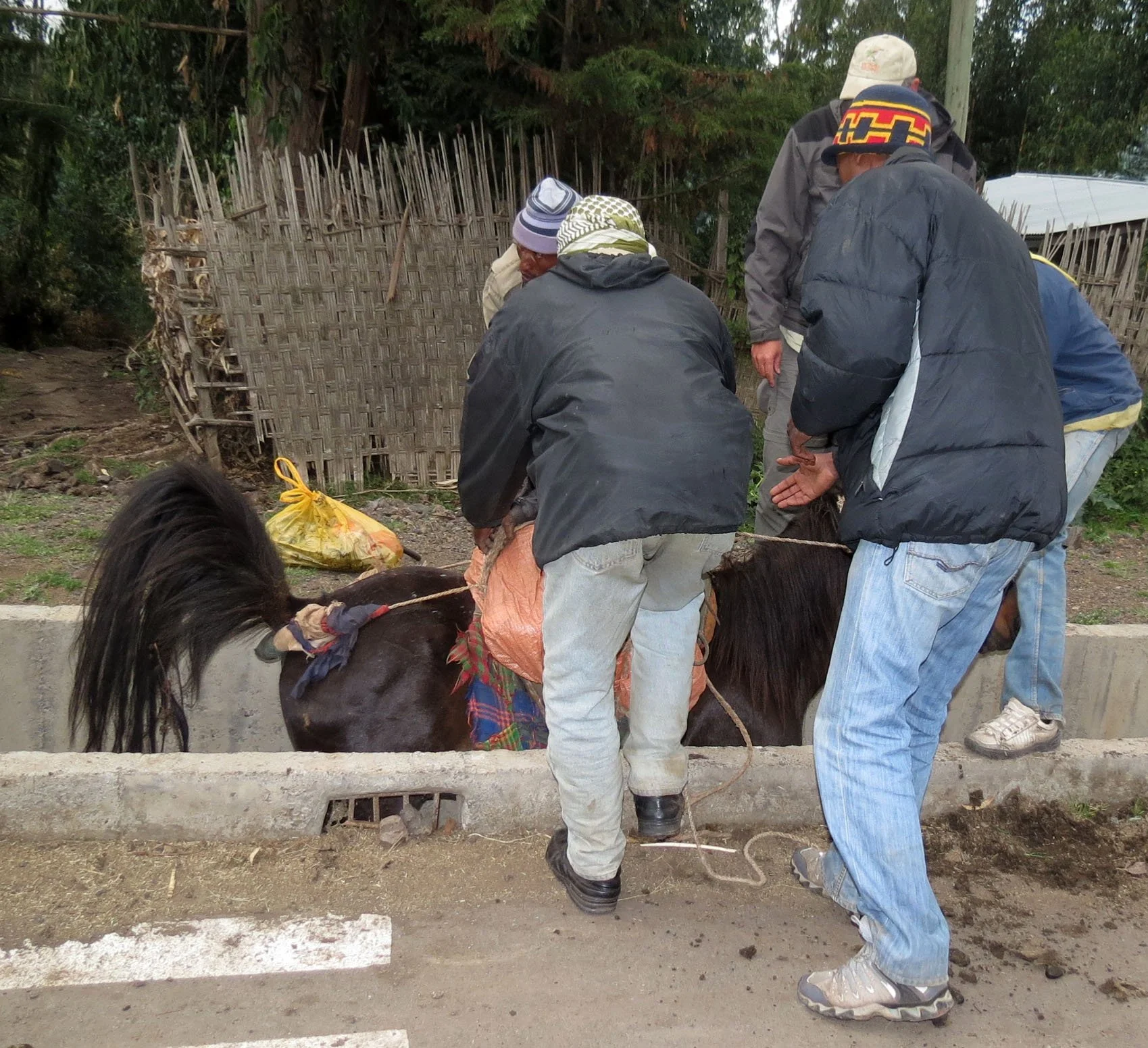 BALE MOUNTAINS NATIONAL PARK ETHIOPIA - GOBA TOWN (73).JPG