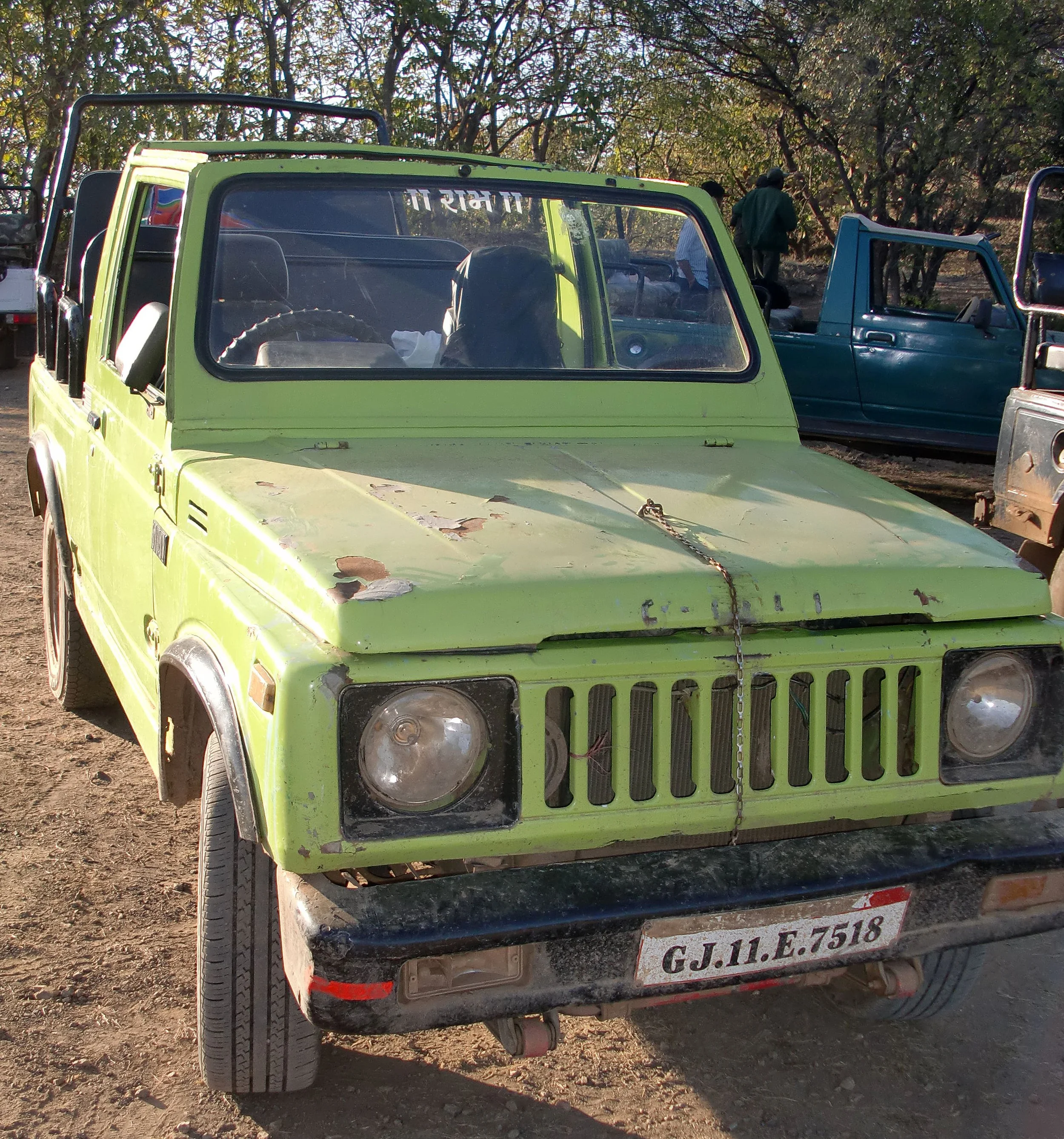 GUJARAT - GIR FOREST NATIONAL PARK INDIA (1).JPG