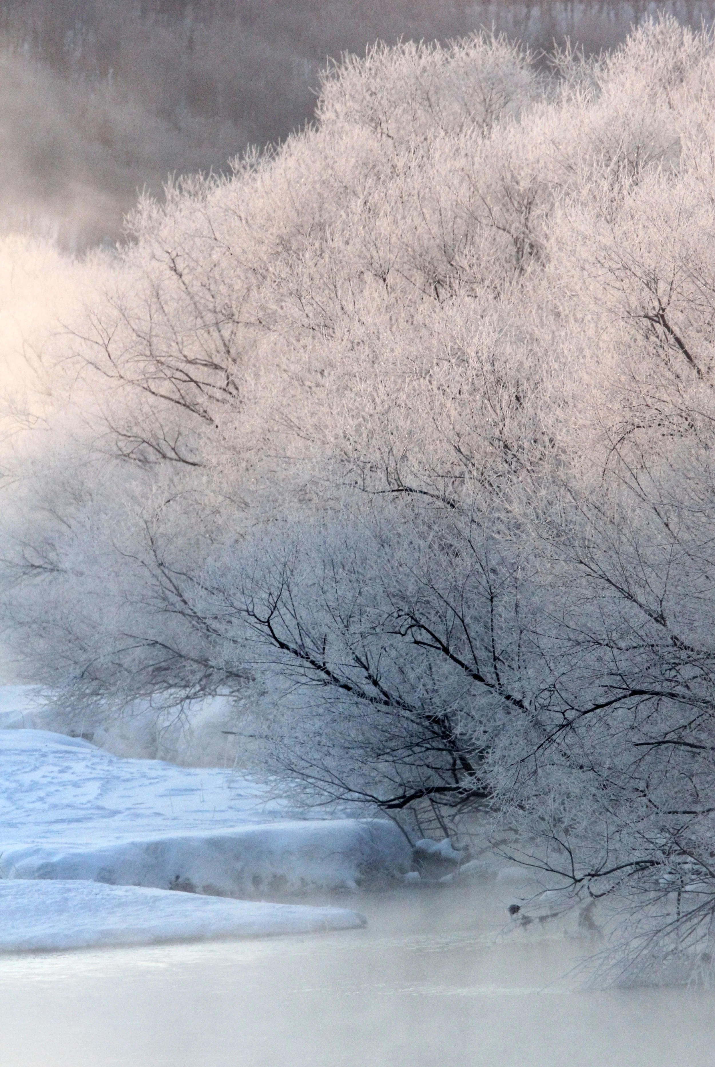 OTOWABASHI SETSUGAWA - TSURUI TOWN - HOKKAIDO JAPAN (29).JPG