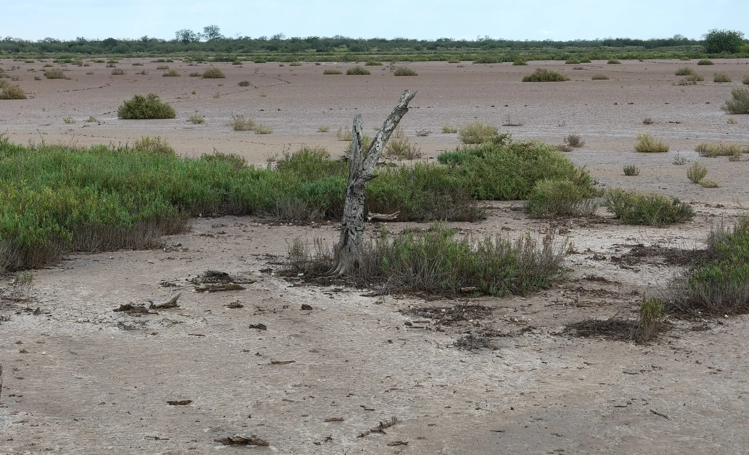 Laguna Salada
