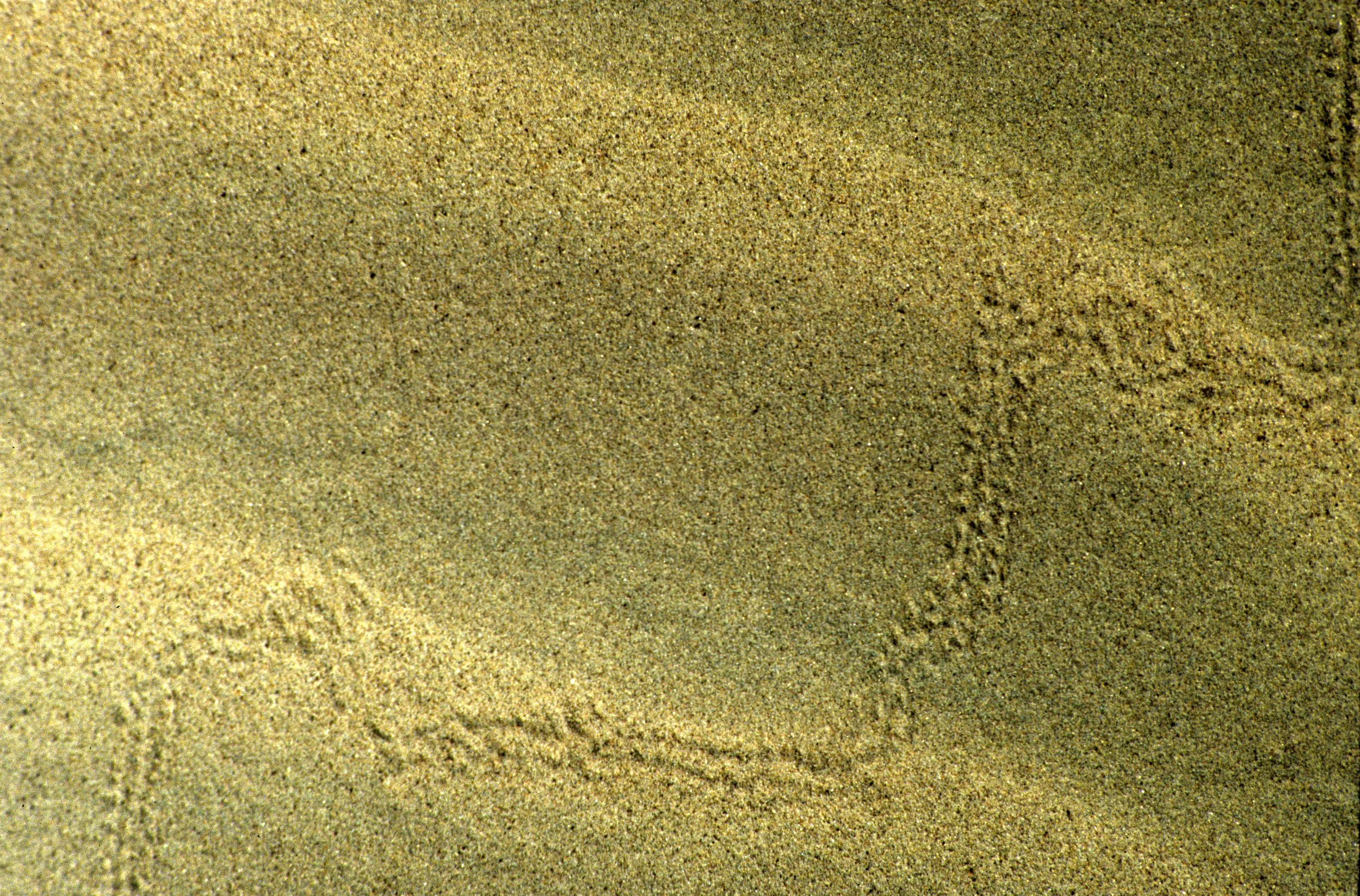 DEATH VALLEY - DUNE VIEWS (2).jpg