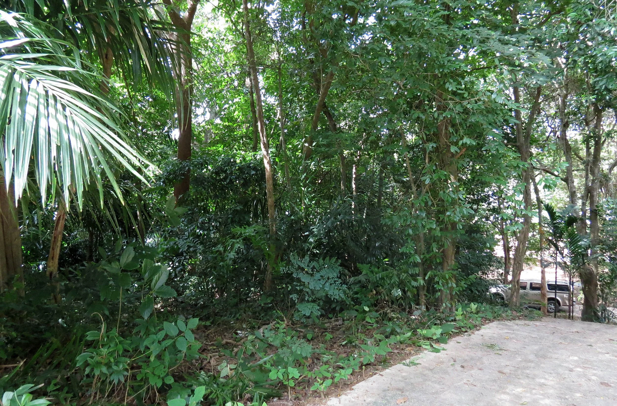 2014 Koh Lanta Build (99).JPG