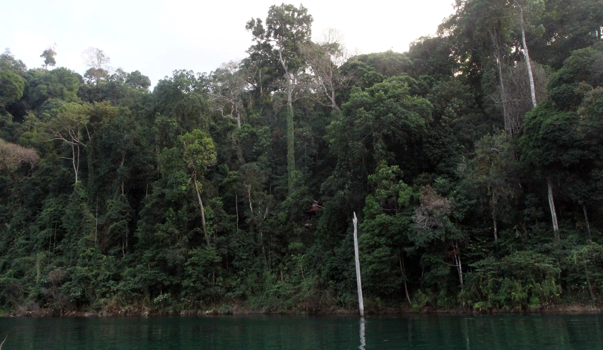 2014 ISB Trip to Khao Sok National Park on the Lake (172).JPG