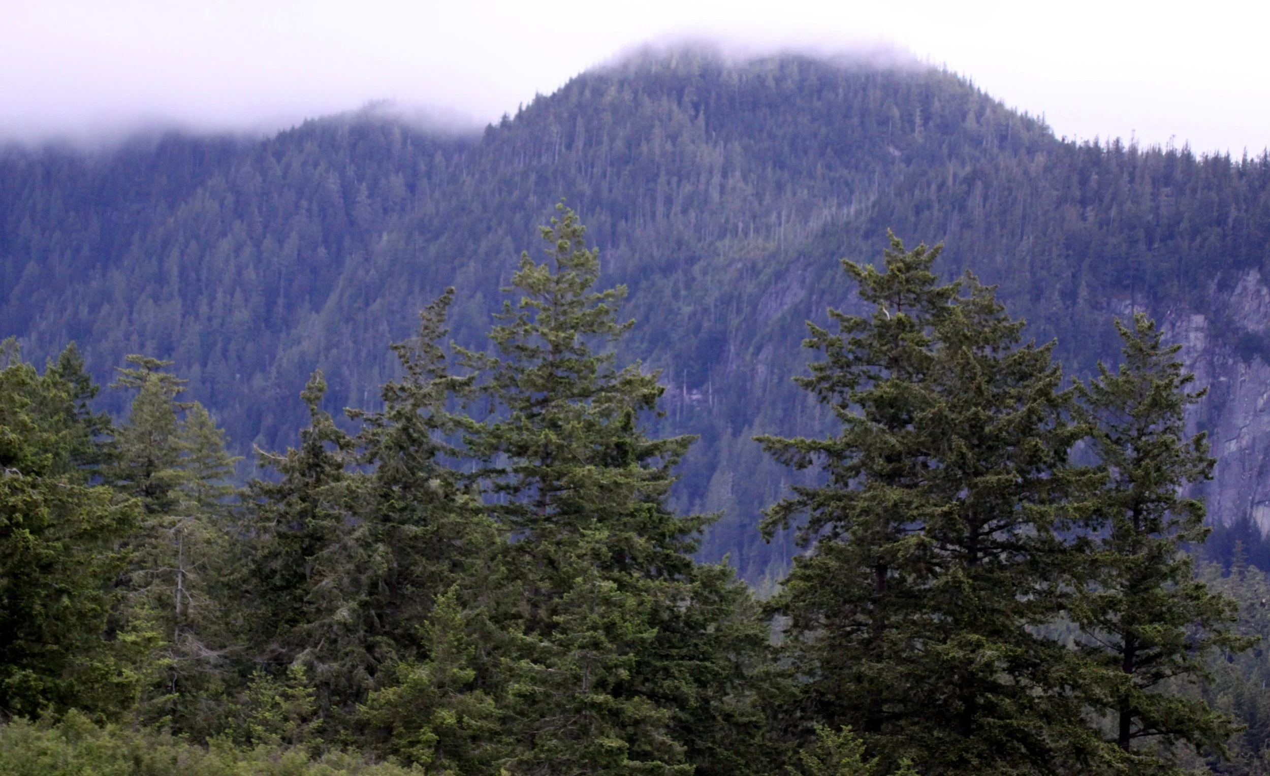 KNIGHT'S INLET BRITISH COLUMBIA - HANGING AT SAILCONE LODGE MINSTREL ISLAND.JPG
