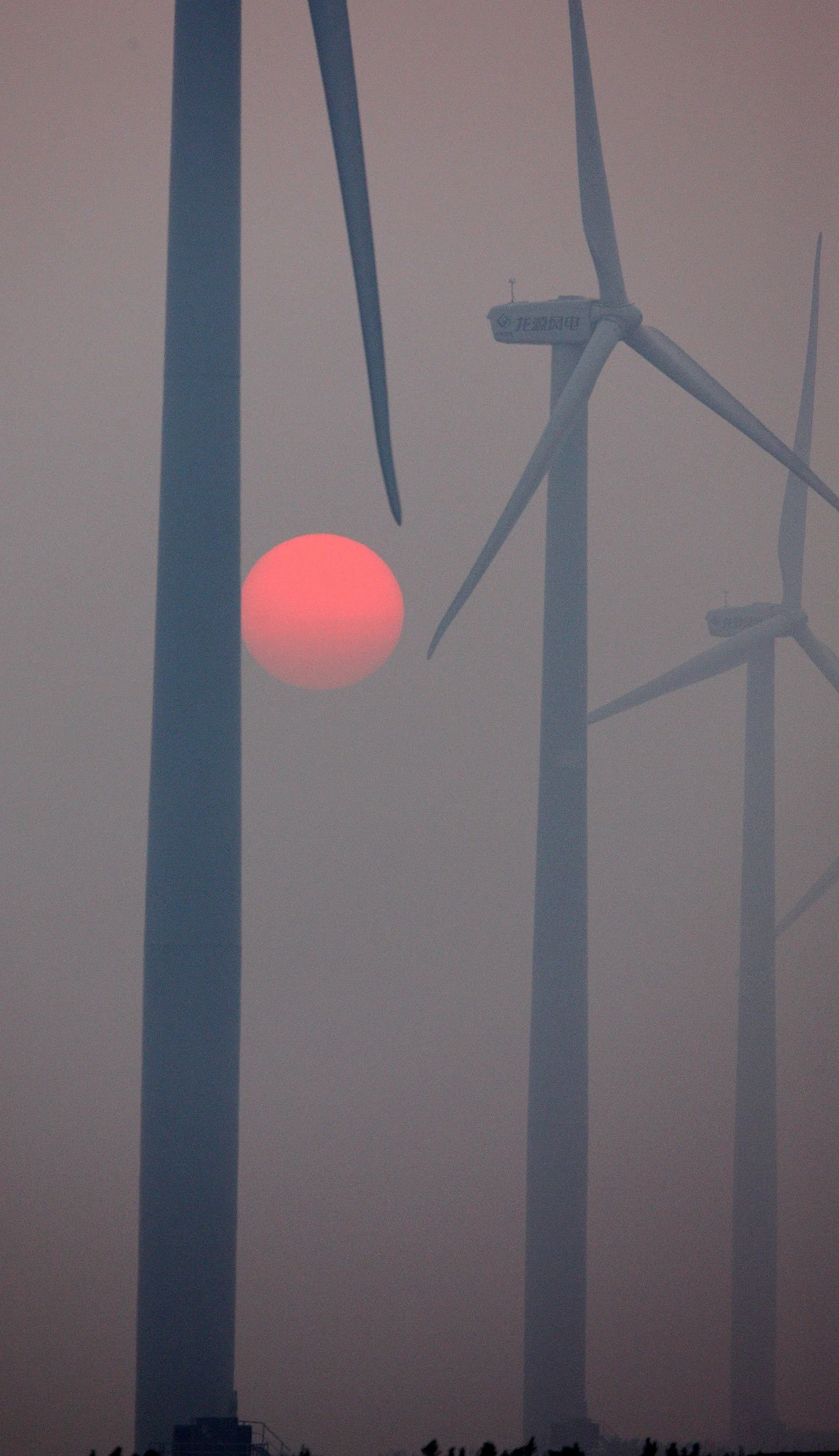 RUDONG CHINA -  BIRDING TRIP - 15-17 OCTOBER 2010 (39).JPG