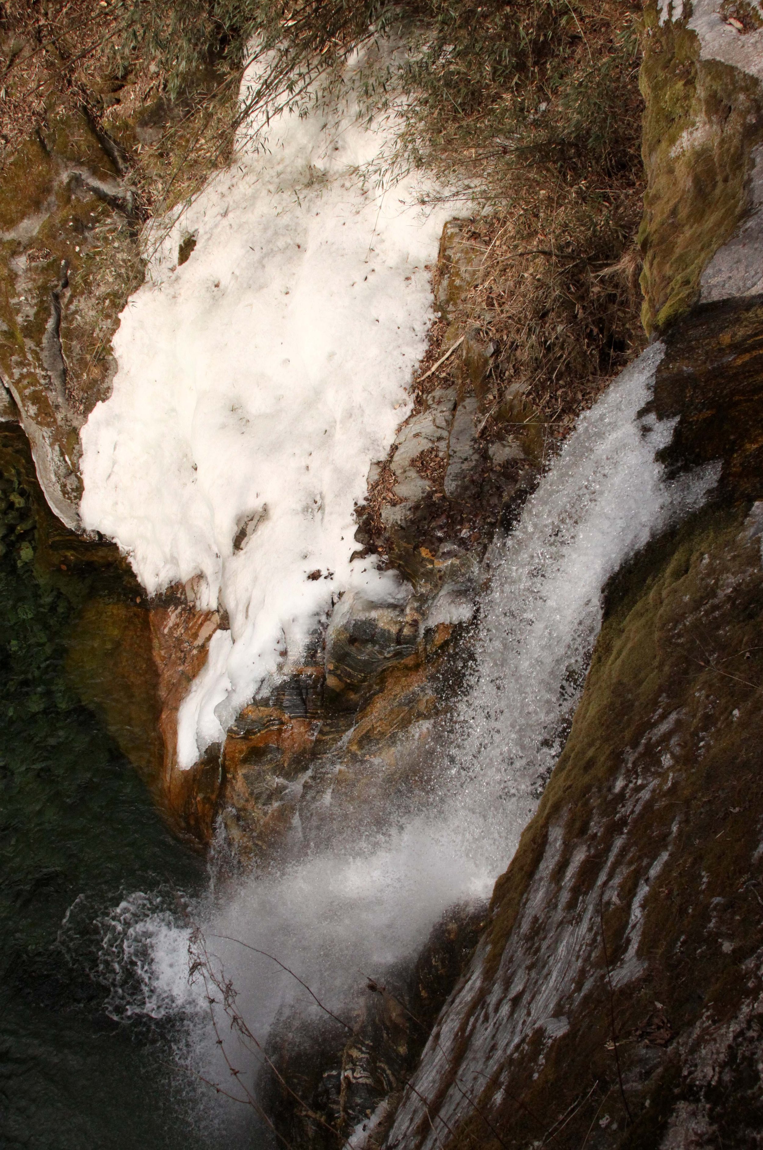 FOPING NATURE RESERVE - SHAANXI PROVINCE CHINA (212).JPG