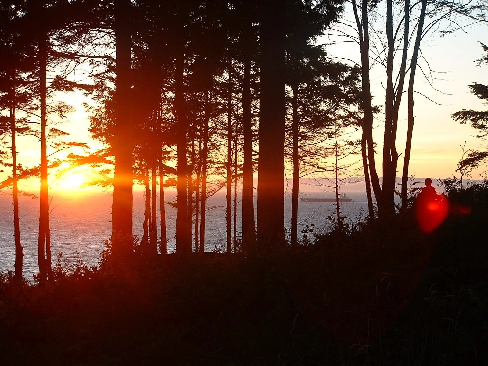 2003-8-1 WASHINGTON VISIT FROM ROBINSONS ET AL (12).JPG