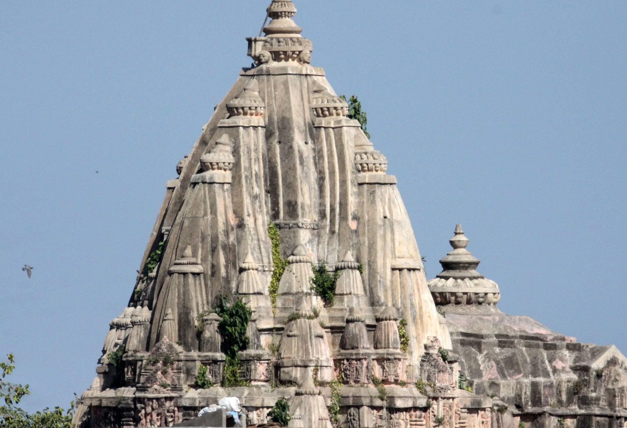 GUJARAT - SOMCHAT GUJARAT INDIA (2).JPG