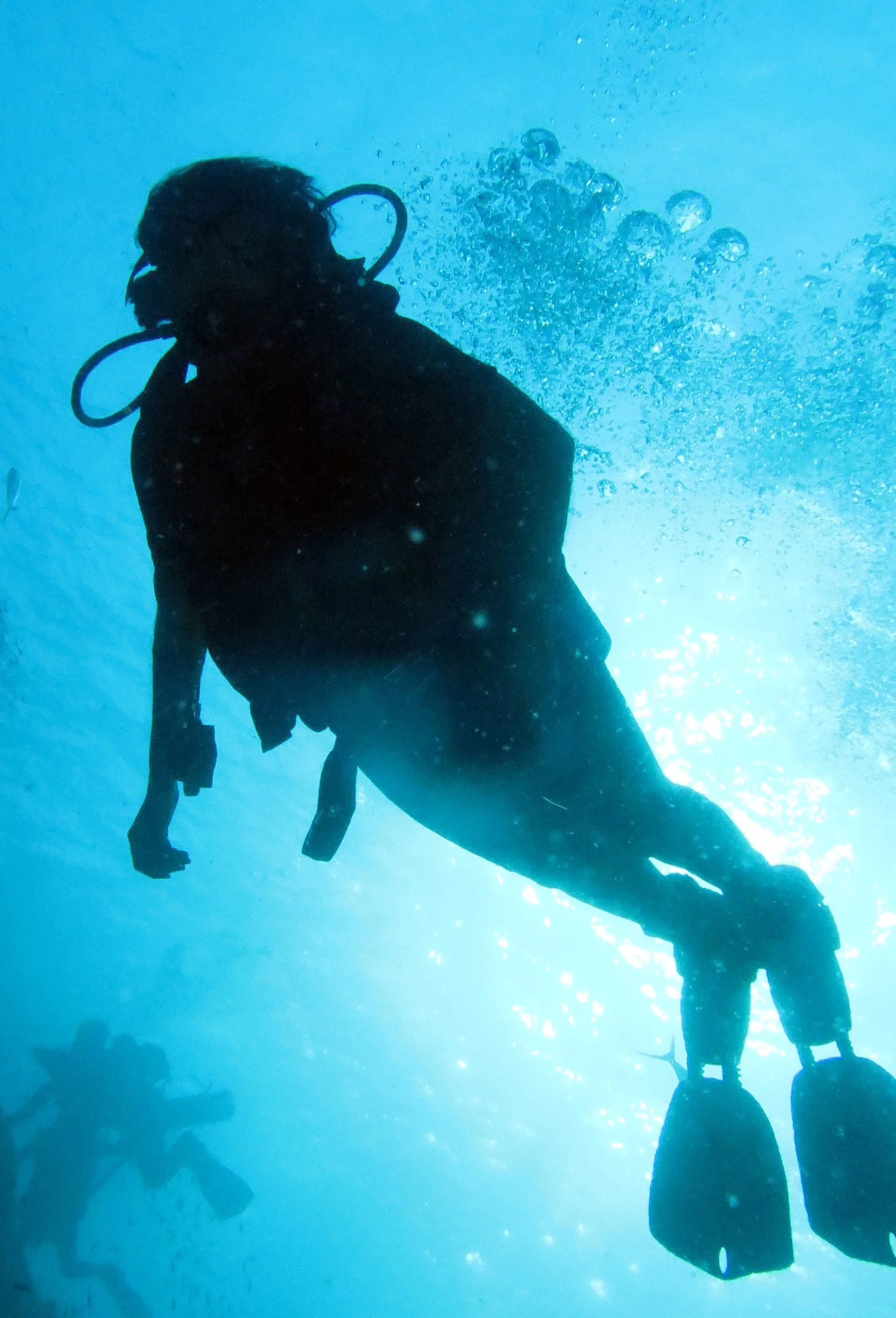 2016 Similans Trip with ISB GCW (50).JPG