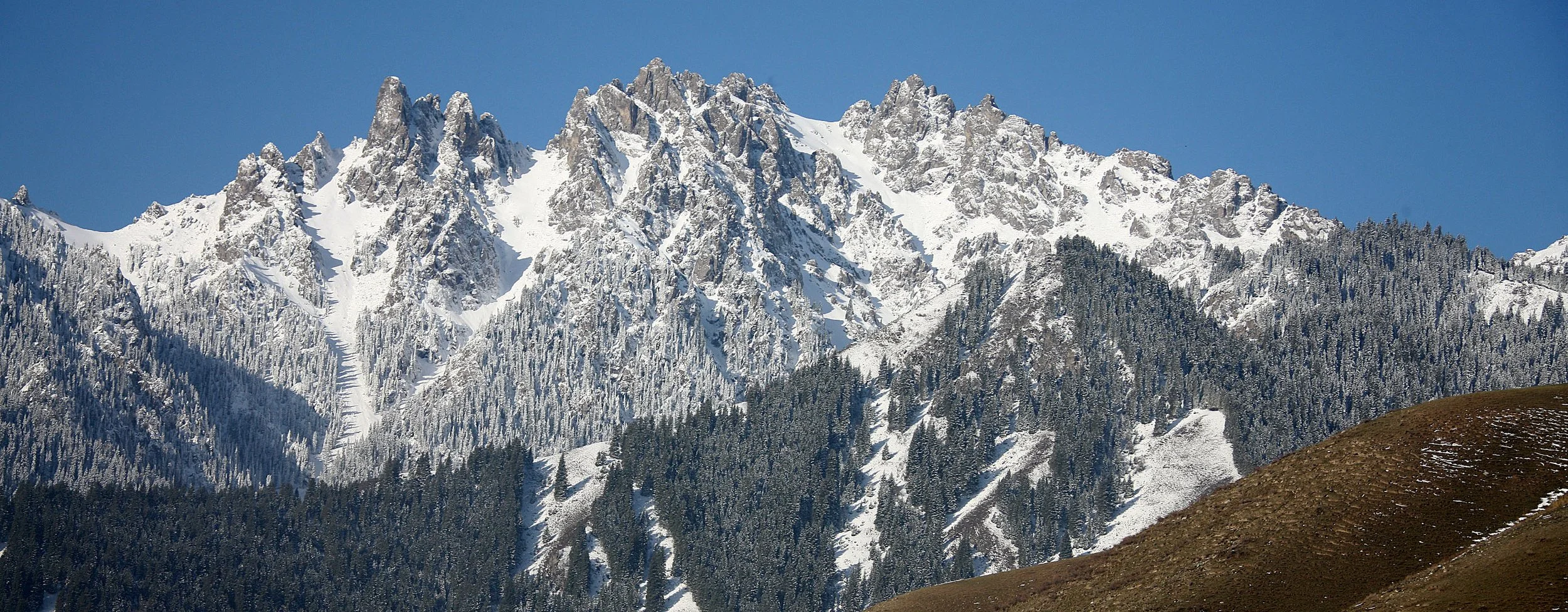 TIANSHAN MOUNTAINS - XINJIANG CHINA - ROUTE 216 (25).JPG