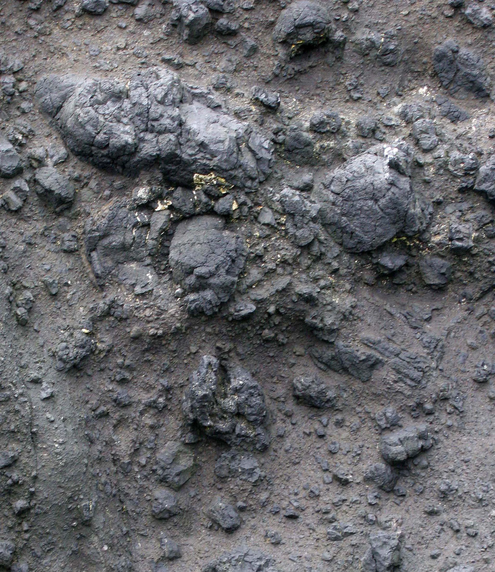 KURIL ISLANDS - FLORA  (66).jpg