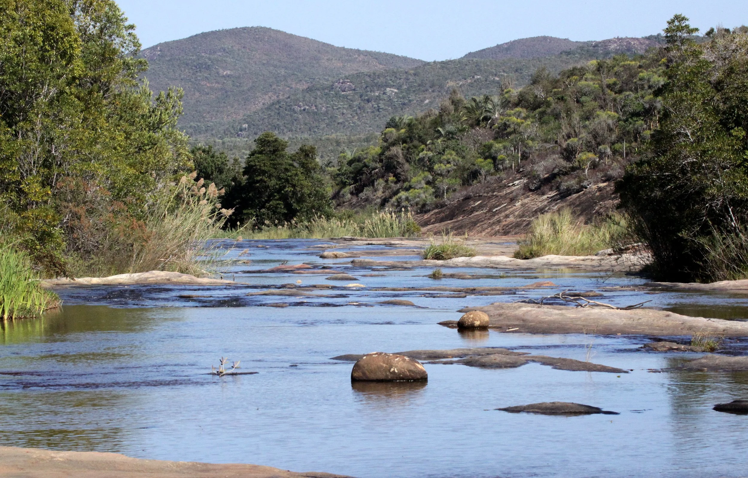 ANDOHAHELA NATIONAL PARK MADAGASCAR - SCENES AND VIEWS (3).JPG