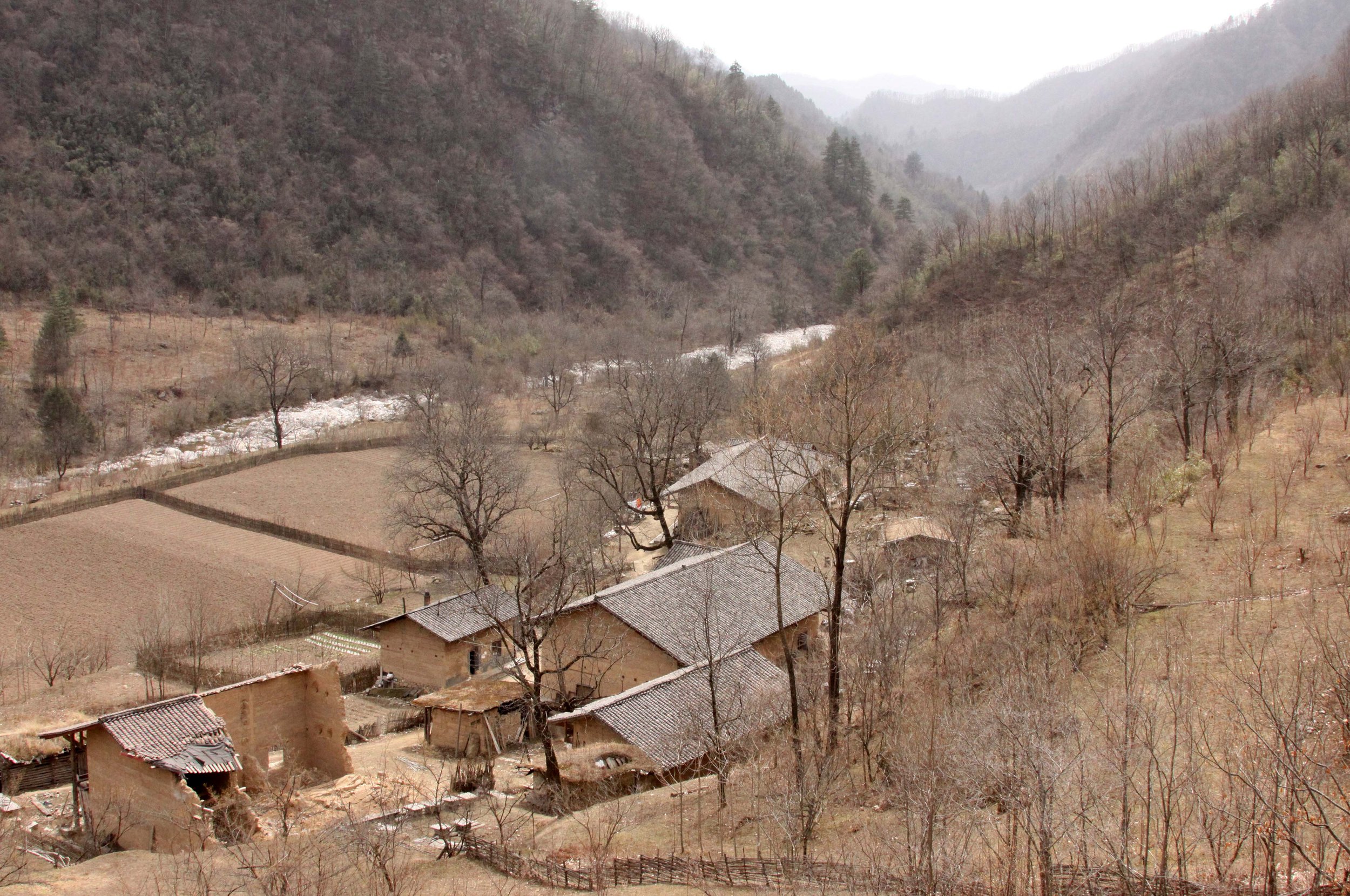 FOPING NATURE RESERVE - SHAANXI PROVINCE CHINA (241).JPG