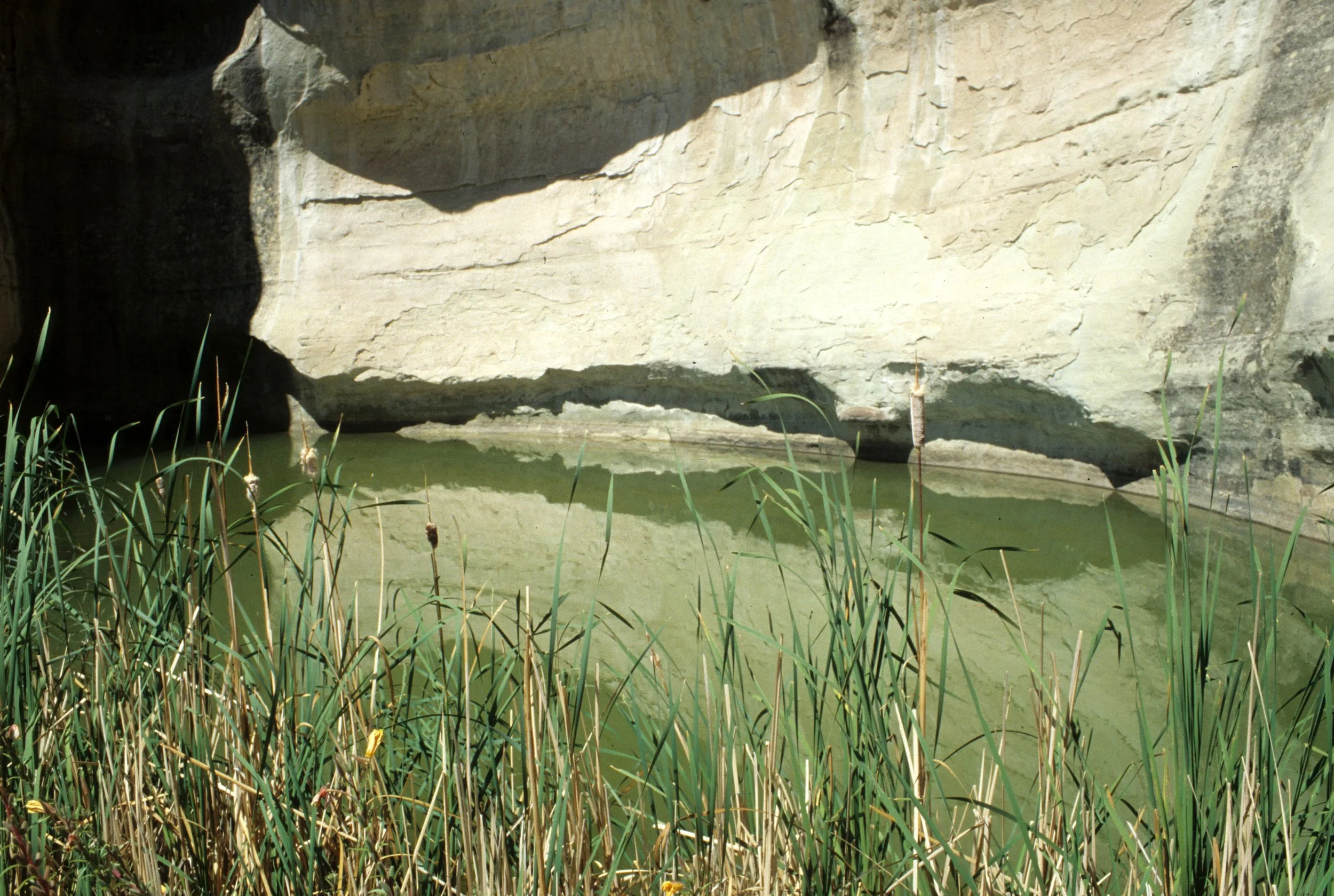 ANASAZILAND - EL MORRO NM G.jpg