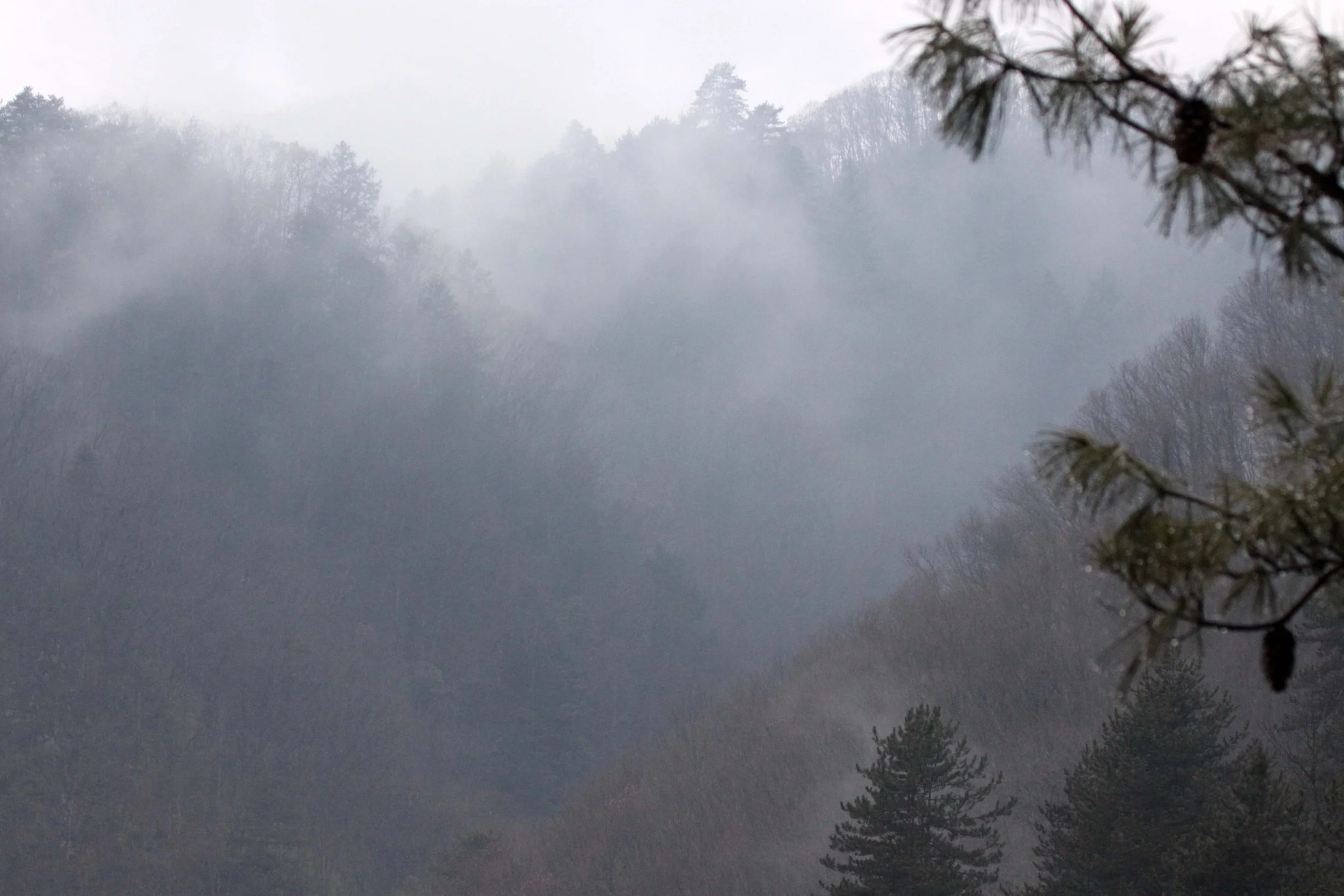 FOPING NATURE RESERVE SHAANXI PROVINCE CHINA (13).JPG