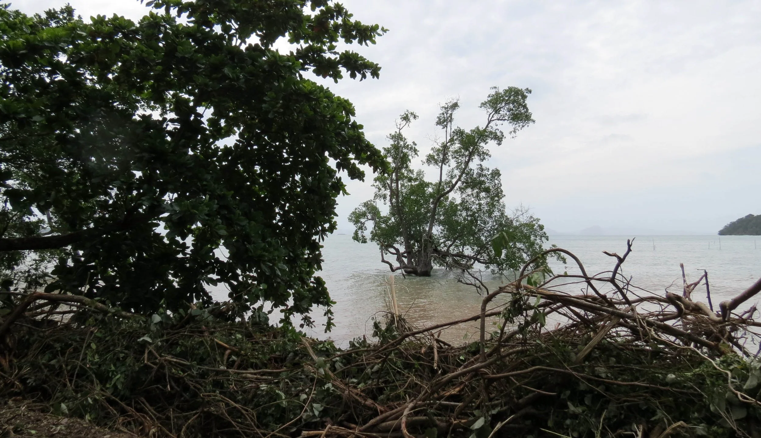 2014 Koh Lanta Build (29).JPG