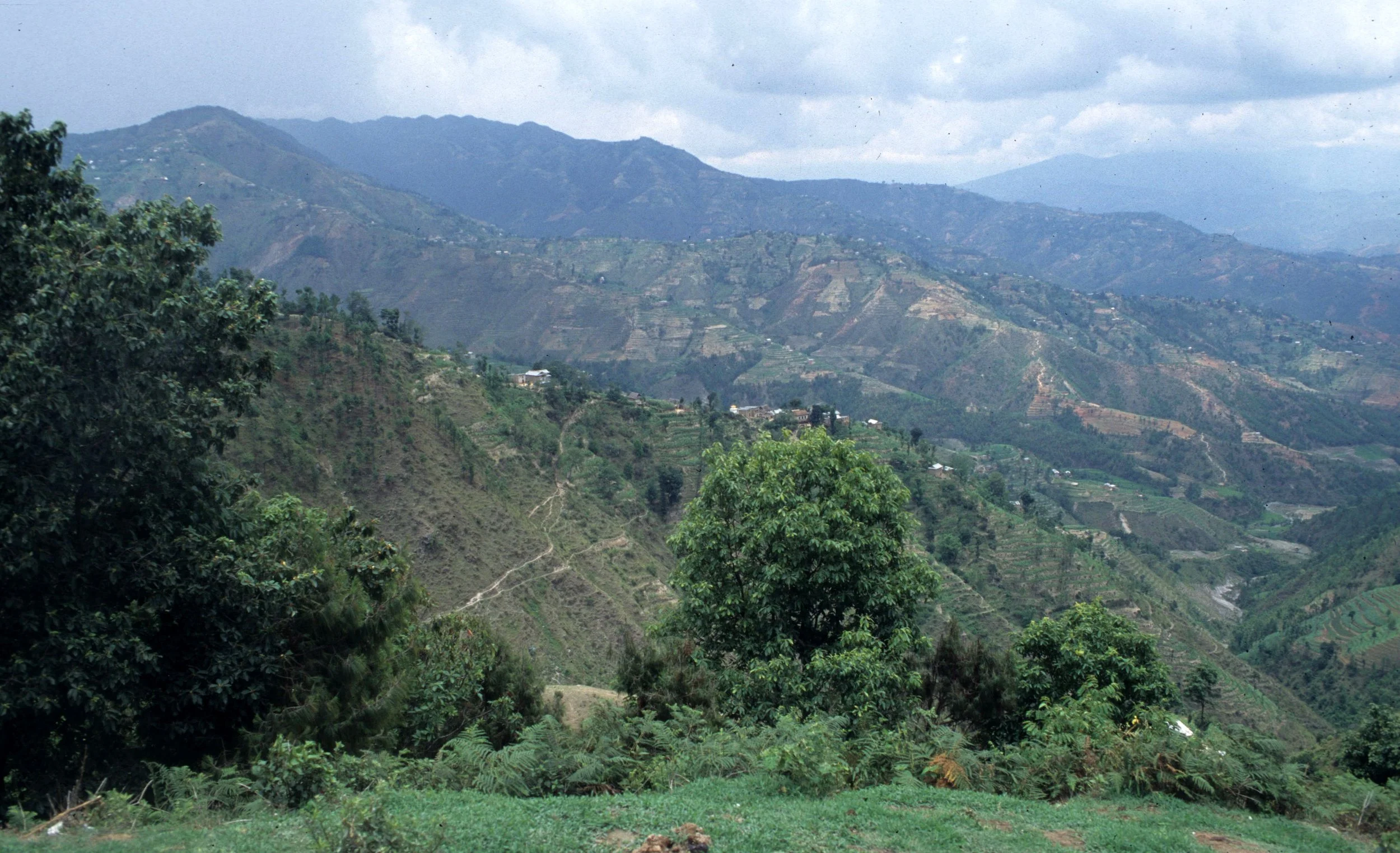 BALI - BALI BARAT NP - VIEW B.jpg