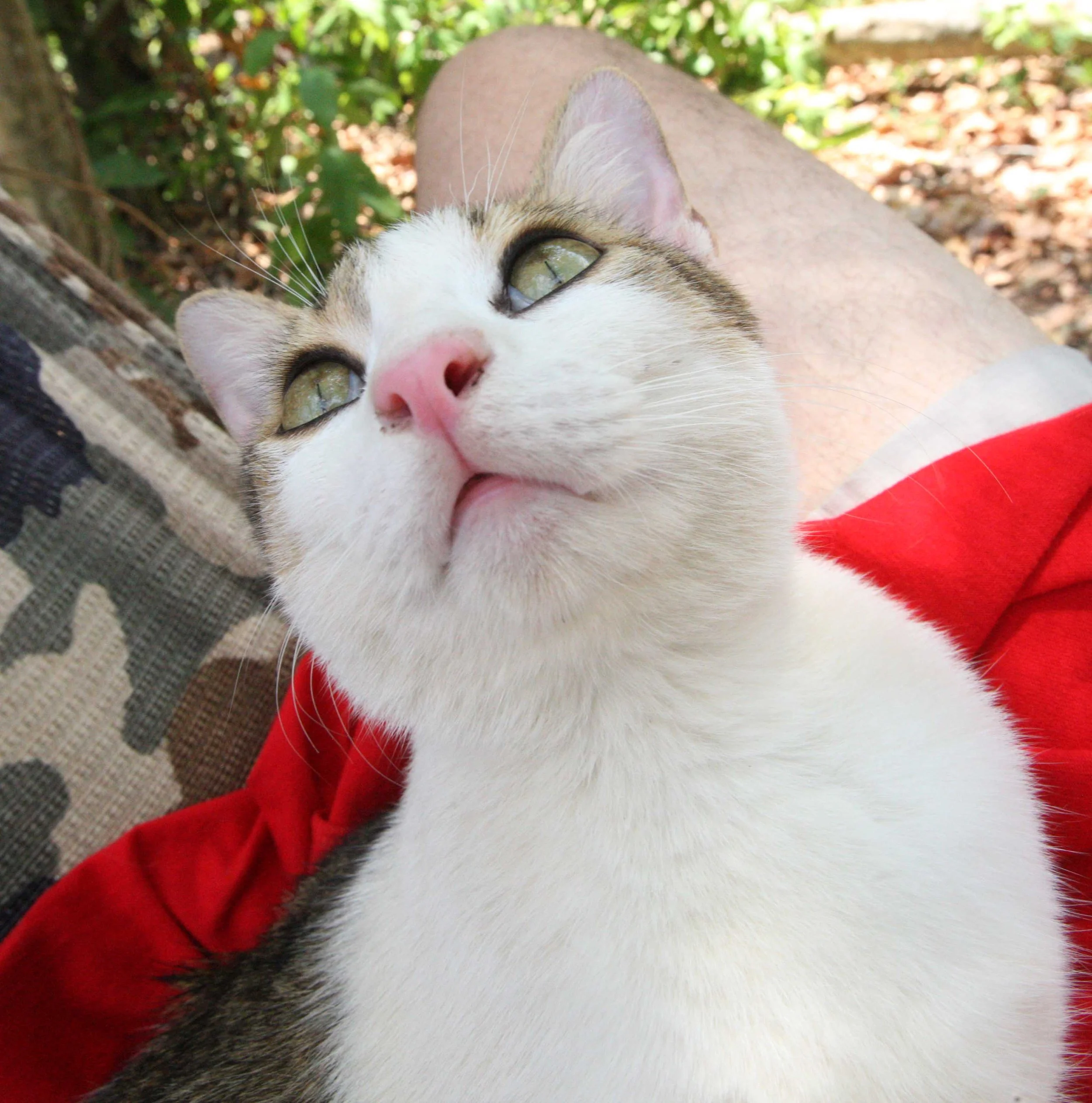 2015 Koh Lanta Songkran with friends from ISB (270).JPG