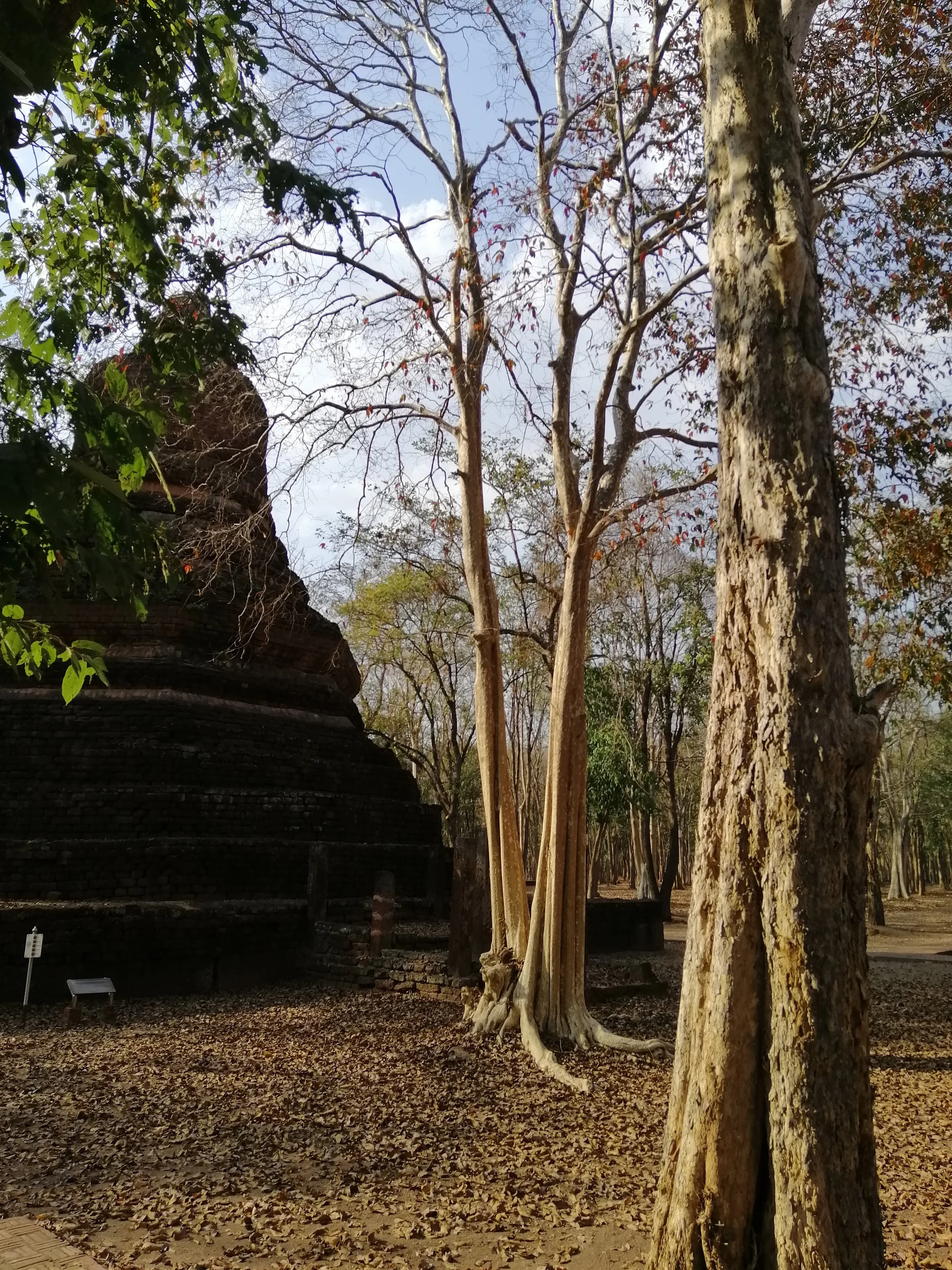 2020 Kamphaeng Phet World Heritage Trip with Cokie (42).jpg