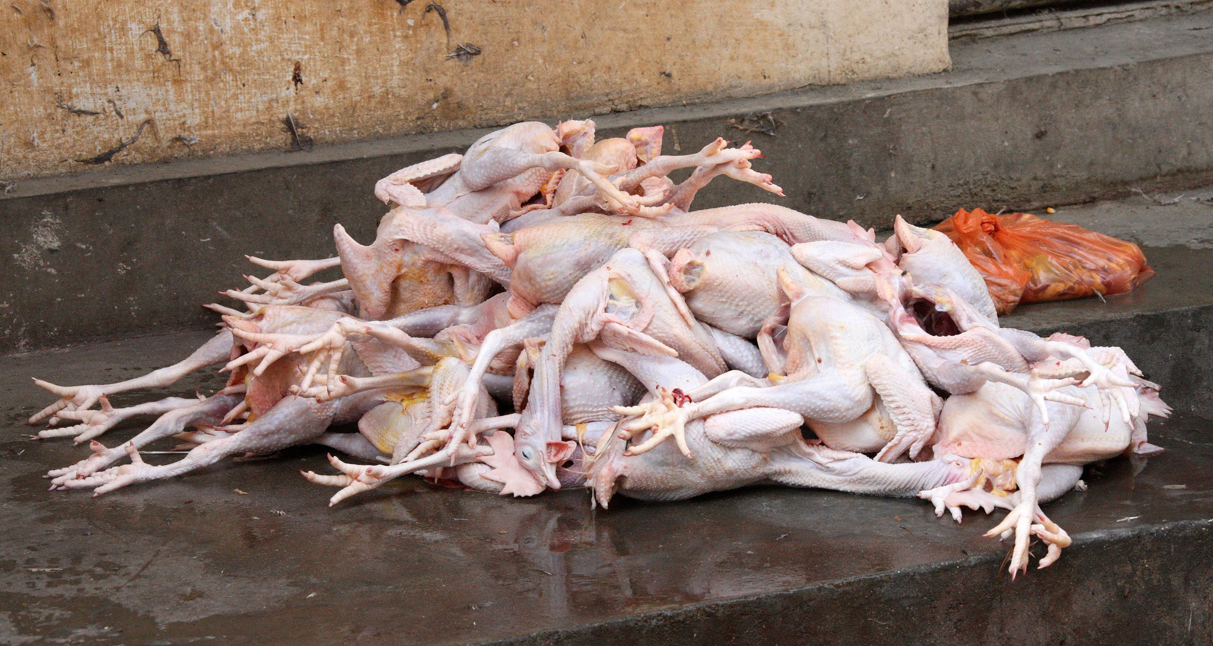 LINDEN CENTER - XIZHOU VILLAGE YUNNAN CHINA (247).JPG