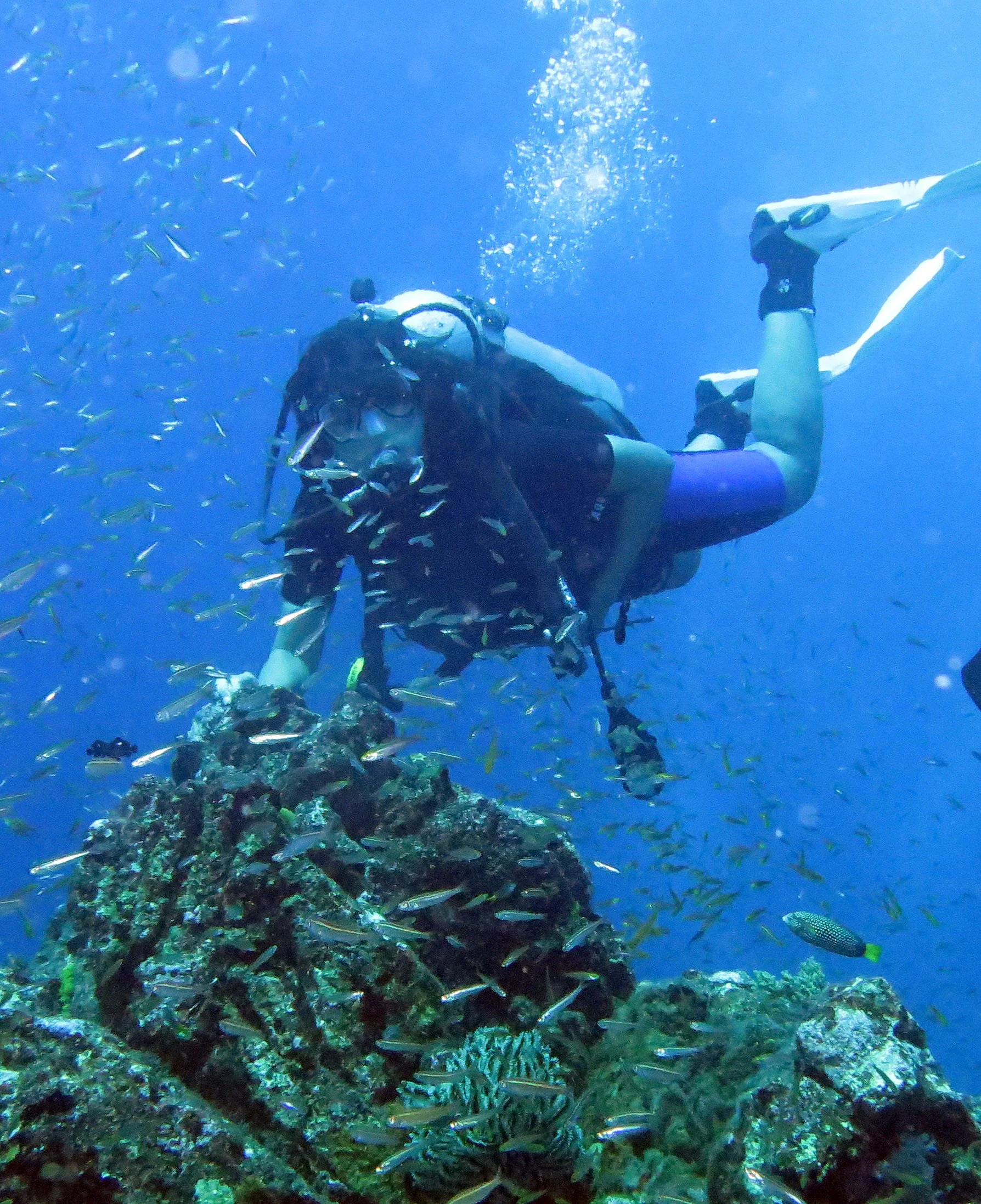 2016 Similans Dive Trip with ISB GCW (10).JPG