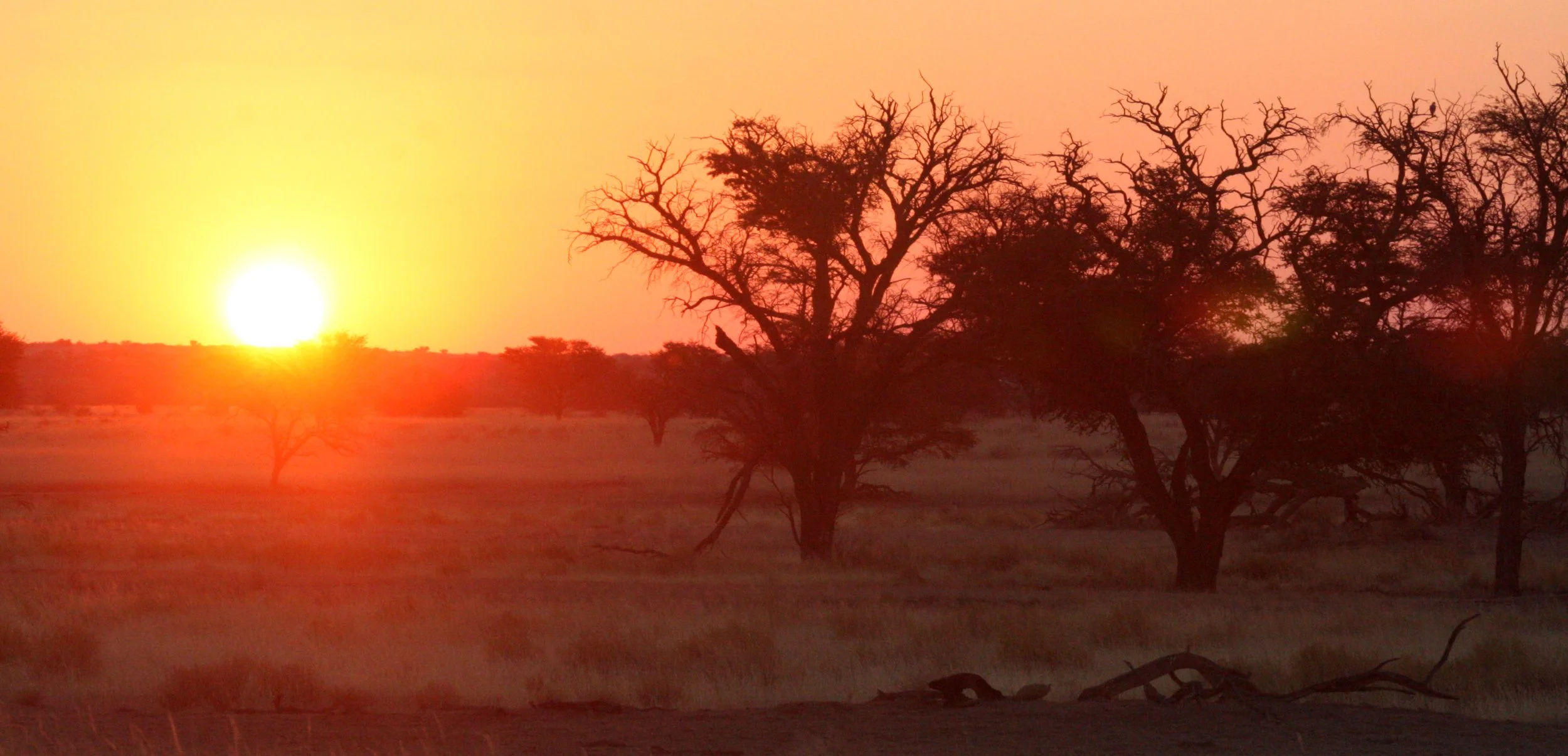 KALAHARI GEMSBOK NP - SUNSET ON THE KALAHARI (2).JPG