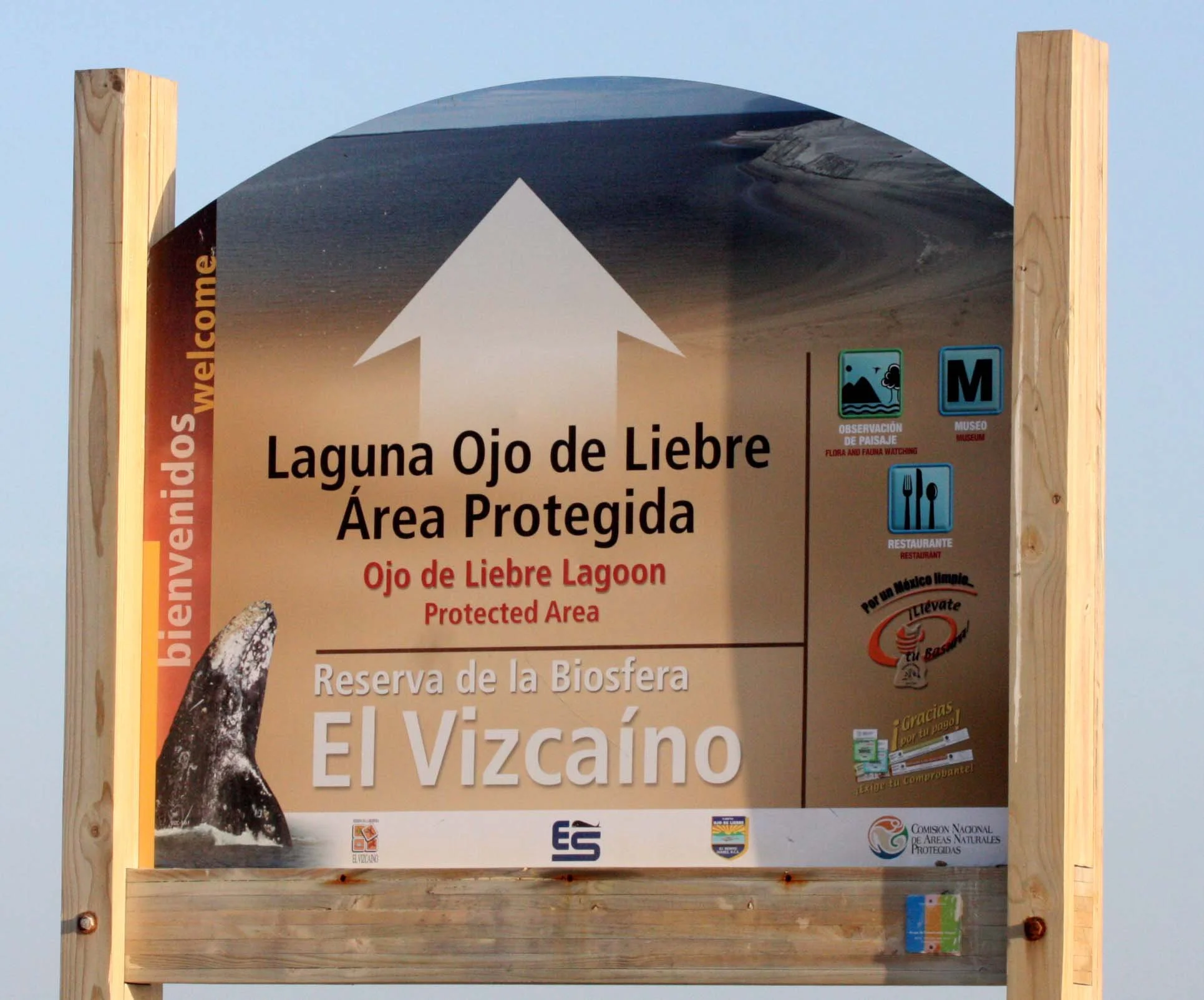 OJO DE LIEBRE LAGOON BAJA MEXICO - NATIONAL PARK.JPG