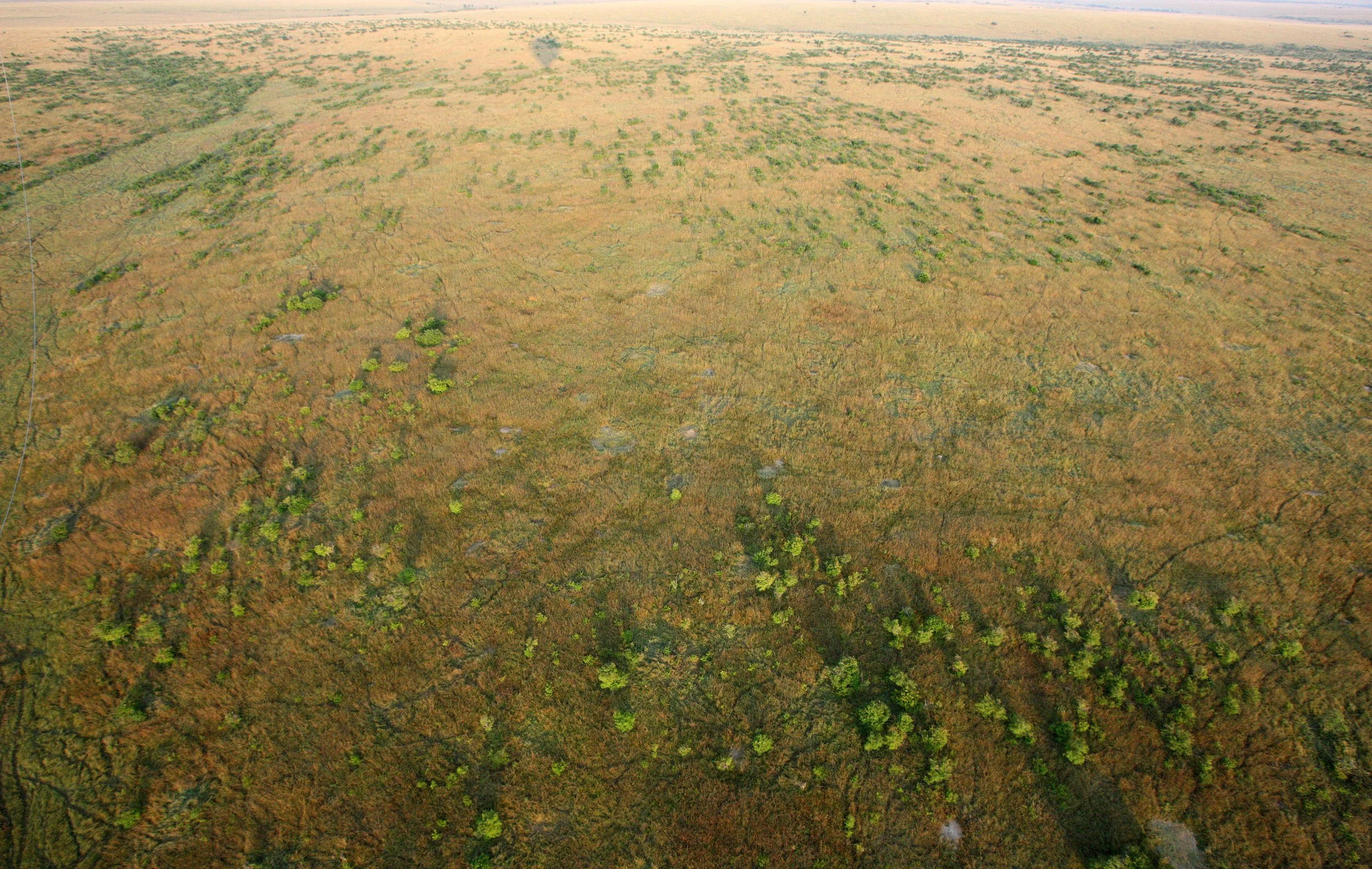 MASAI MARA NATIONAL PARK KENYA (108).JPG