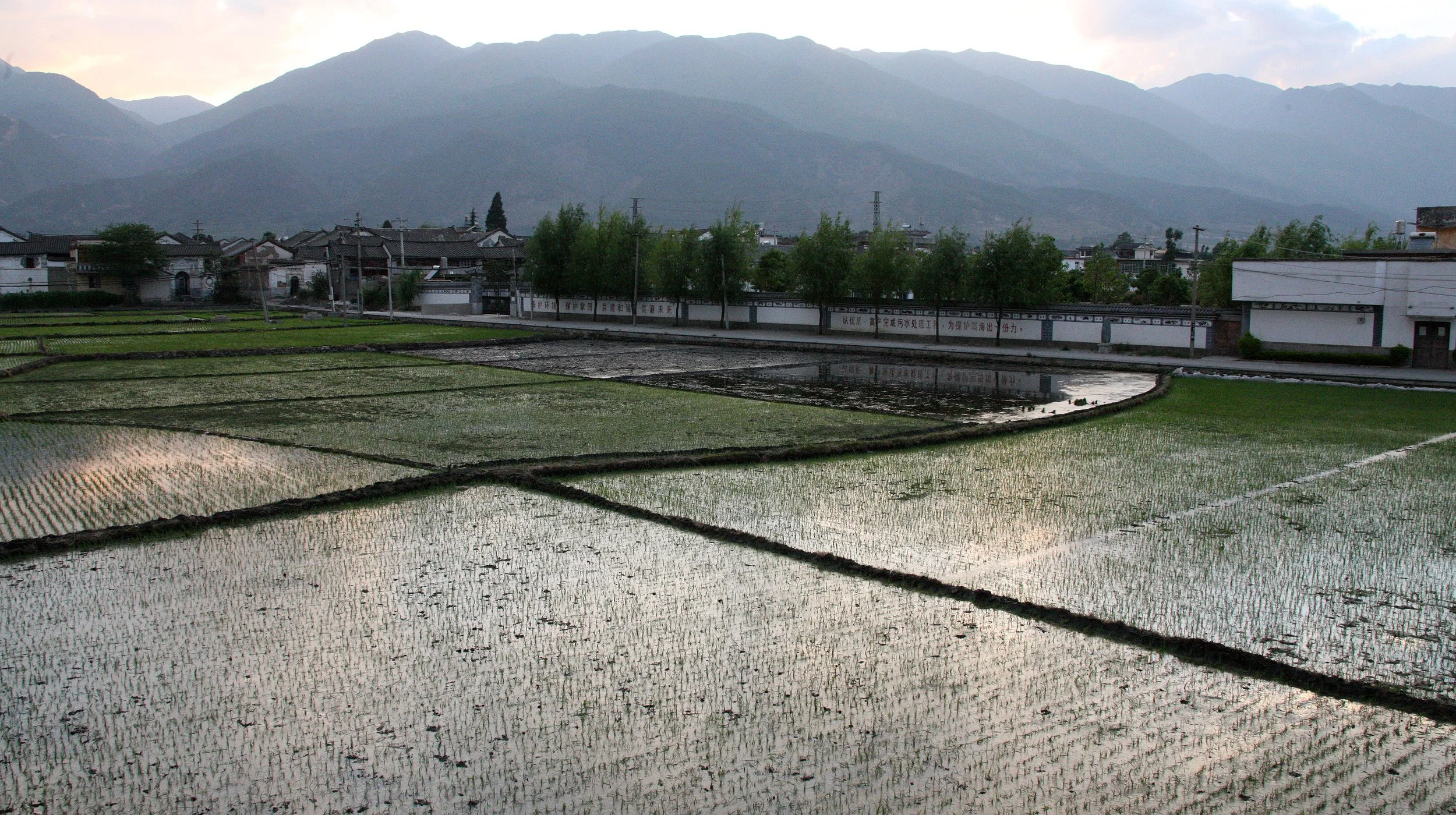 LINDEN CENTER - XIZHOU VILLAGE YUNNAN CHINA (30).JPG