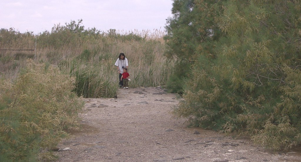 AZRAQ WETLANDS (2).JPG