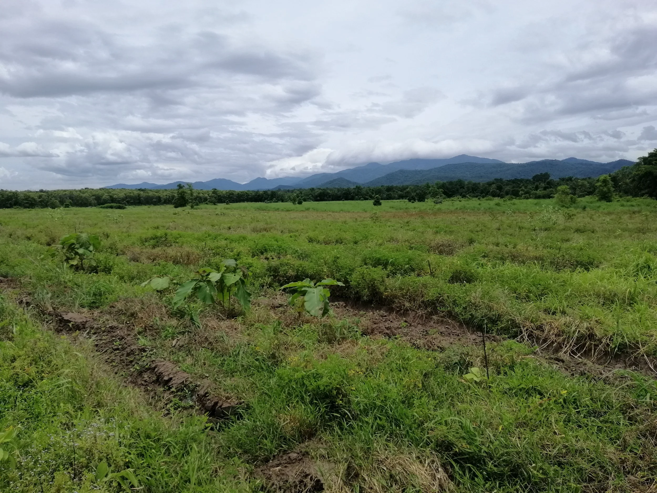 2021 Chong Yen and Surrounding Countryside (52).jpg