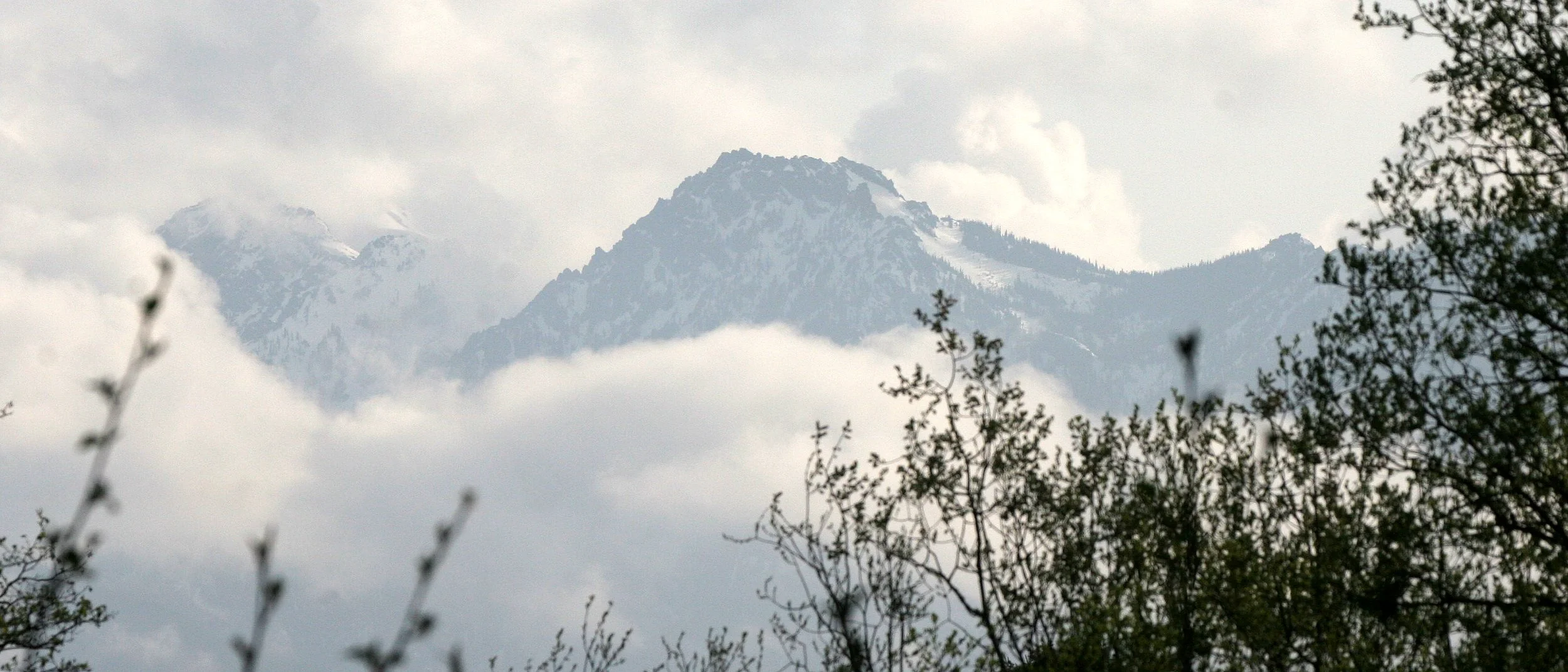 MOUNT ANGELES VIEW FROM LAKE FARM.JPG