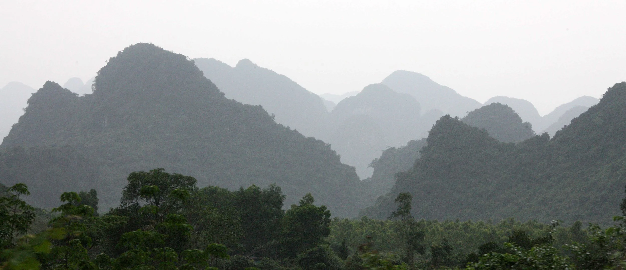 PHONG NHA - KE BANG NATIONAL PARK - QUANG BINH PROVINCE VIET NAM (13).JPG