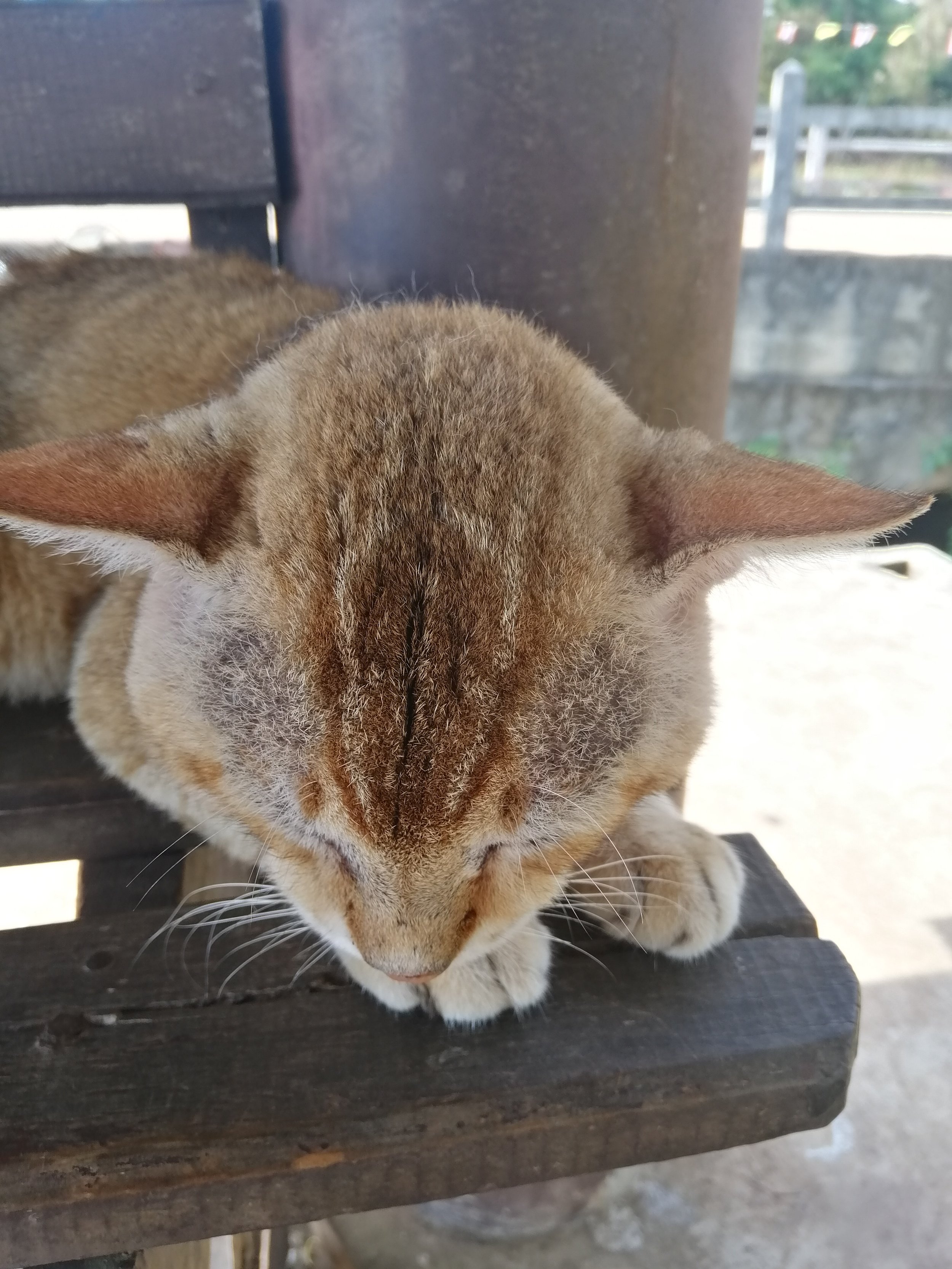 2018 Koh Lanta Misc  (59).jpg