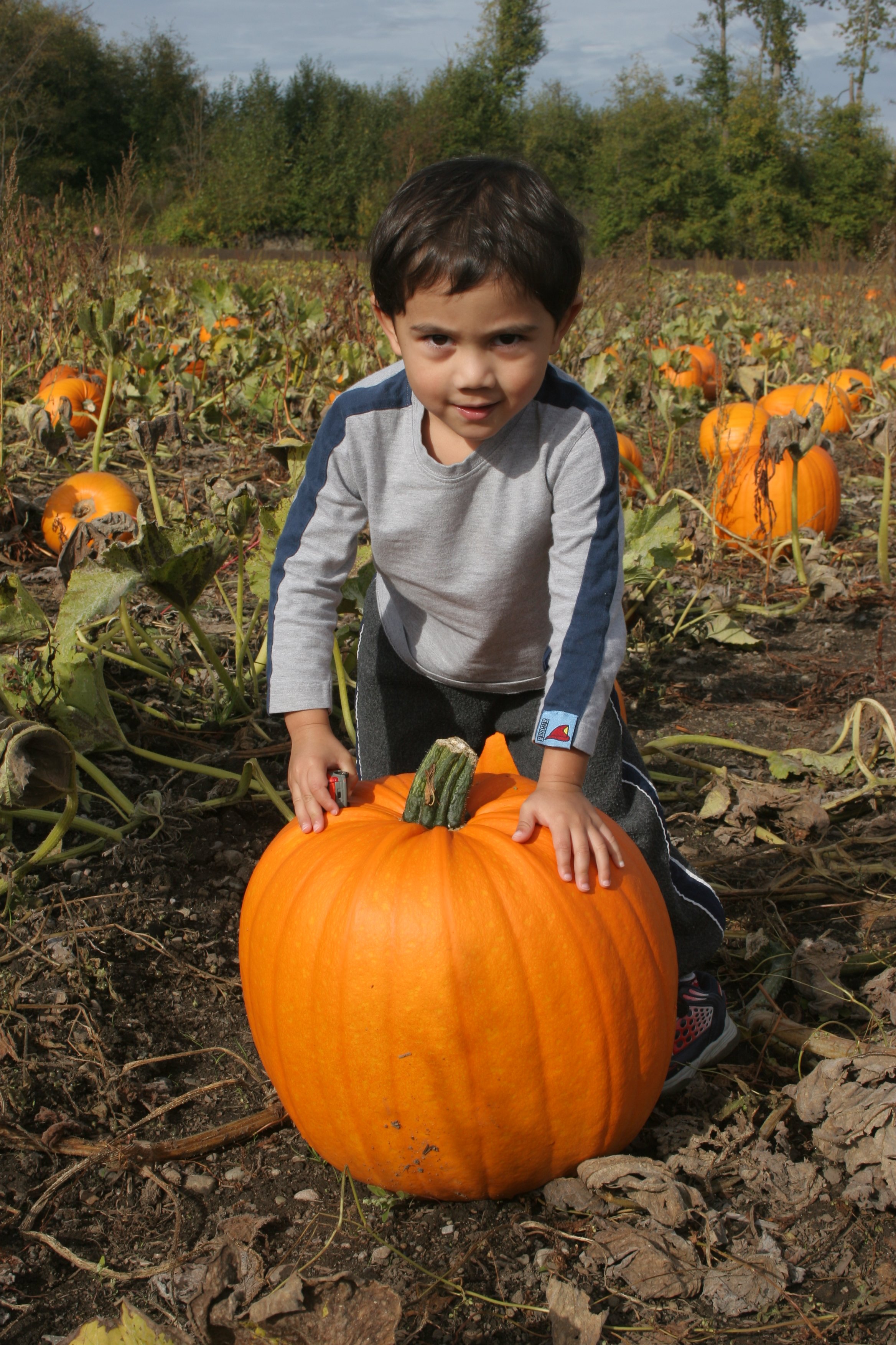 2005-6-9 PUMPKIN PATCH HALLOWEEN (6).JPG