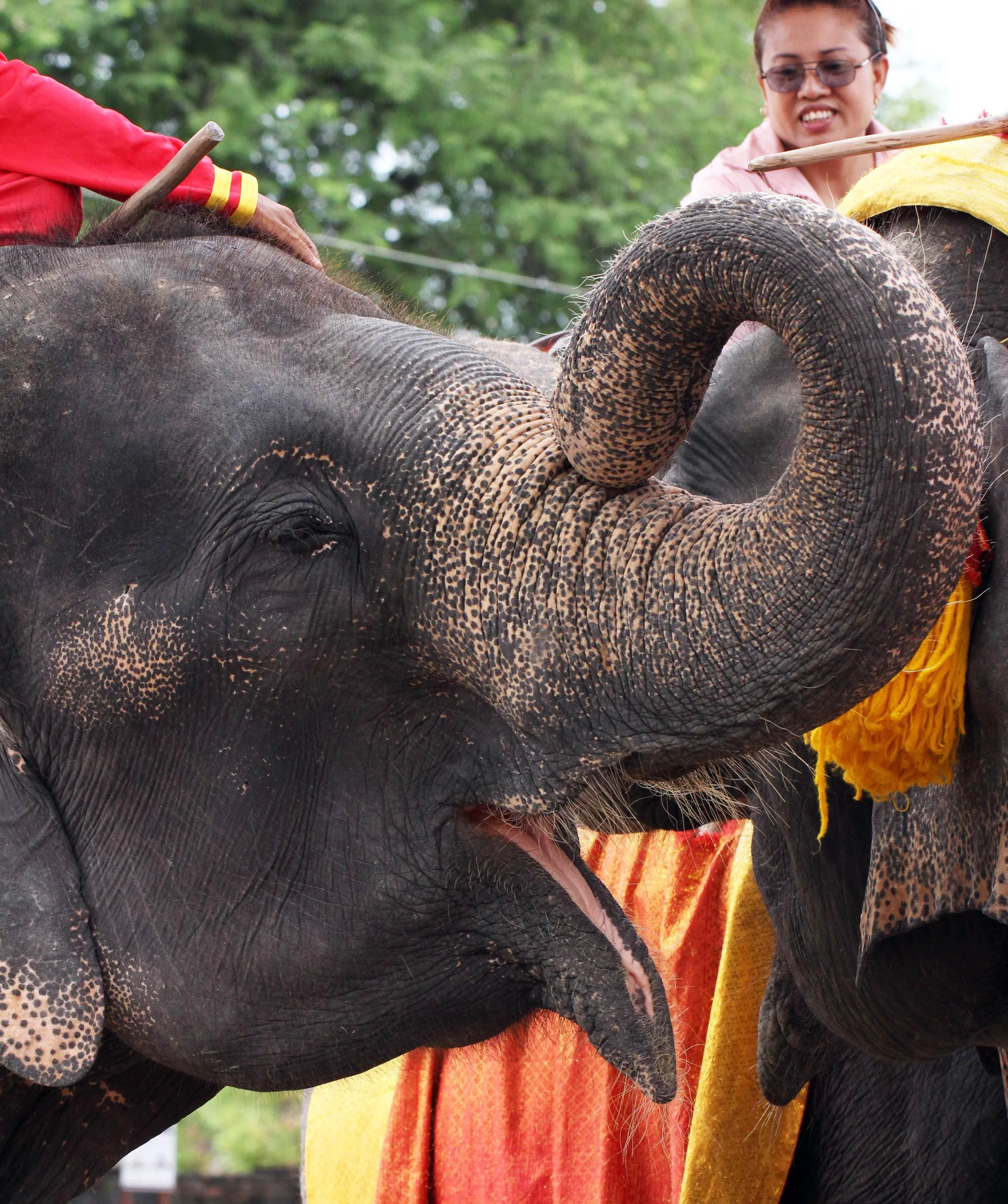 2013 Ayutthaya ISB Passion Day (19).JPG