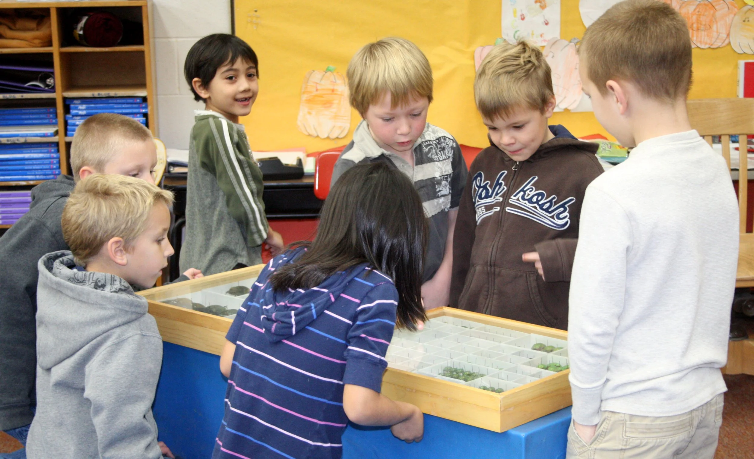 2008-11-21 BUG DAY IN COKIES CLASS (12).JPG