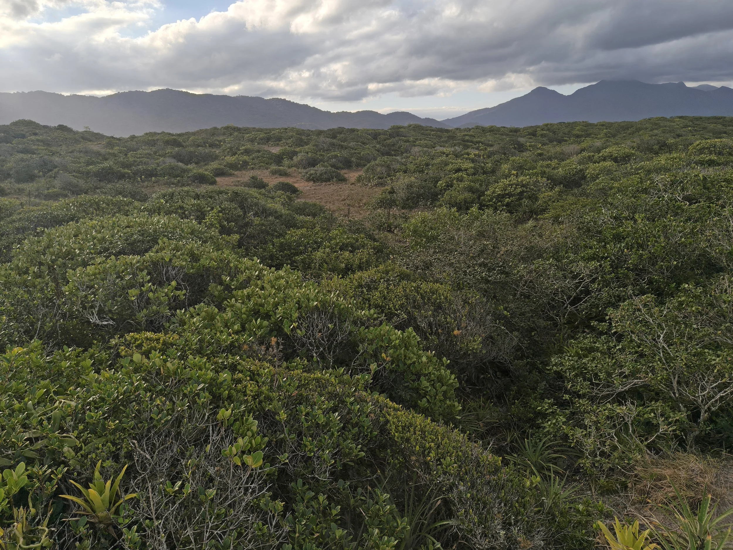 Superagüi National Park