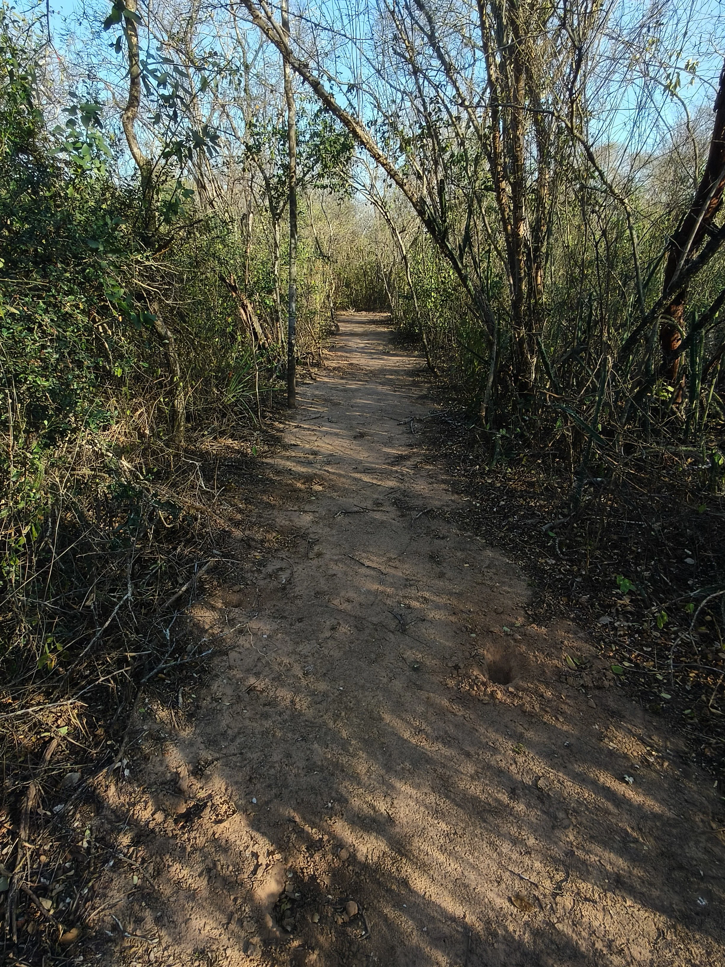 Agua Dulce Paraguay (19).jpg