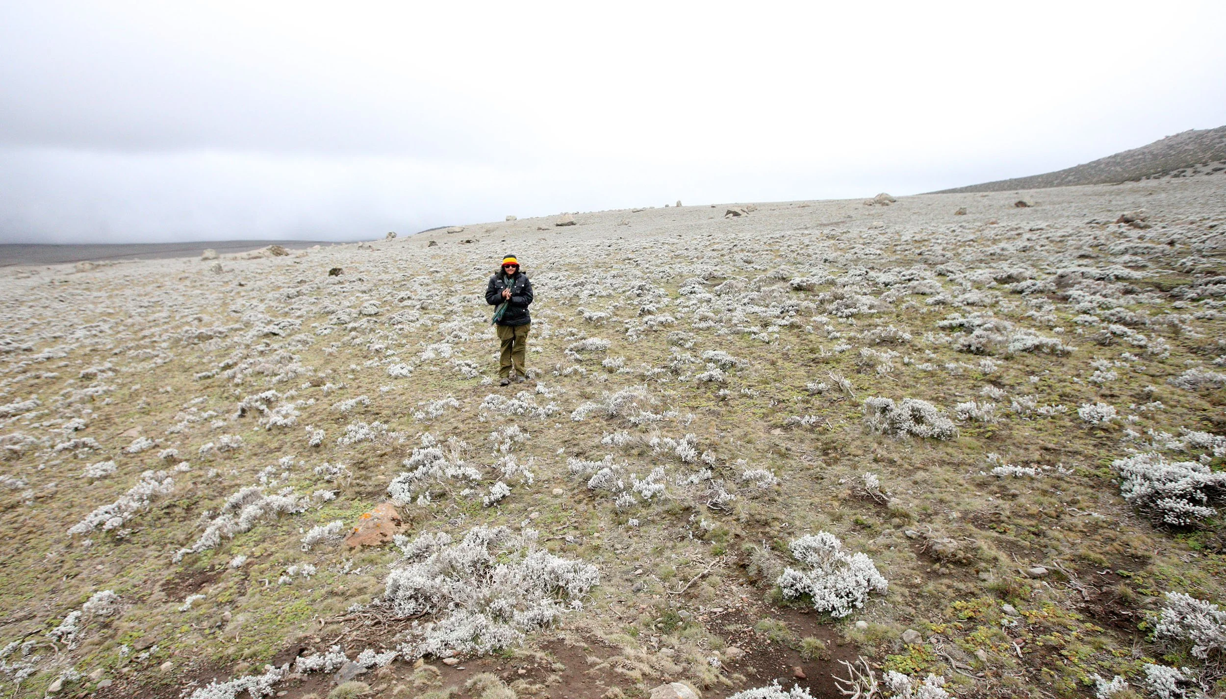 BALE MOUNTAINS NATIONAL PARK ETHIOPIA - SANETTI PLATEAU (9).JPG