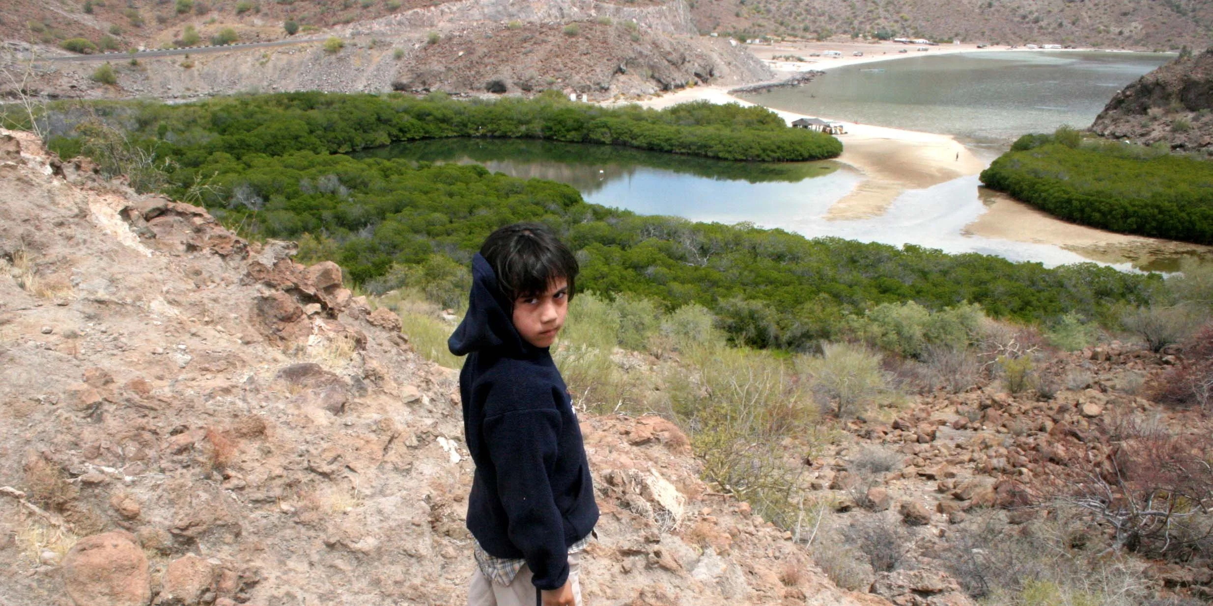 BAHIA CONCEPCION - RED MANGROVES AND COKIE.JPG