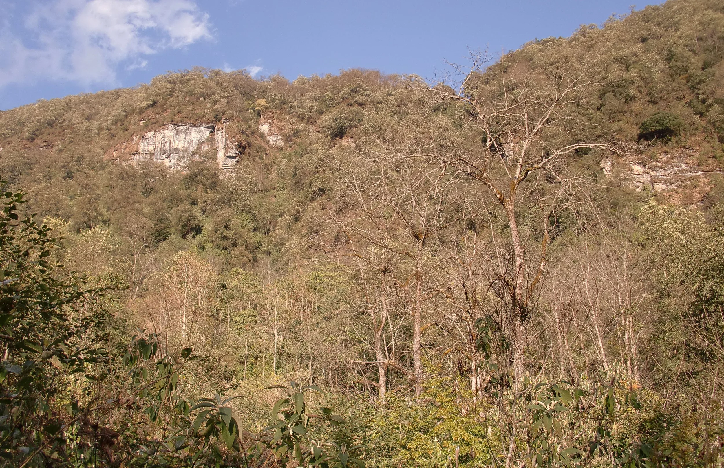 YUNNAN - WULIANGSHAN NATURE RESERVE AND SURROUNDING MOUNTAINS (26).JPG