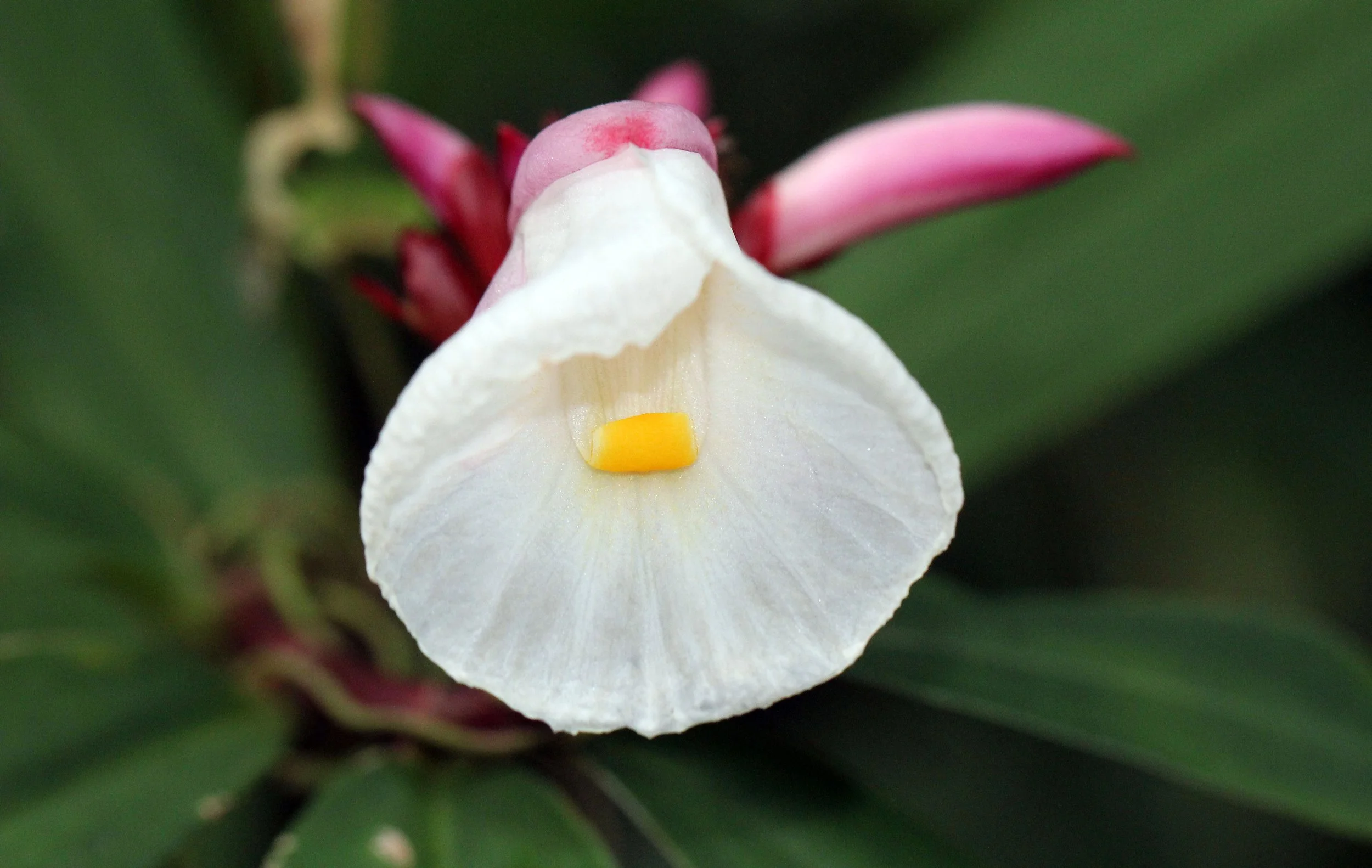 2015 Koh Lanta October Break Trip  (141).JPG